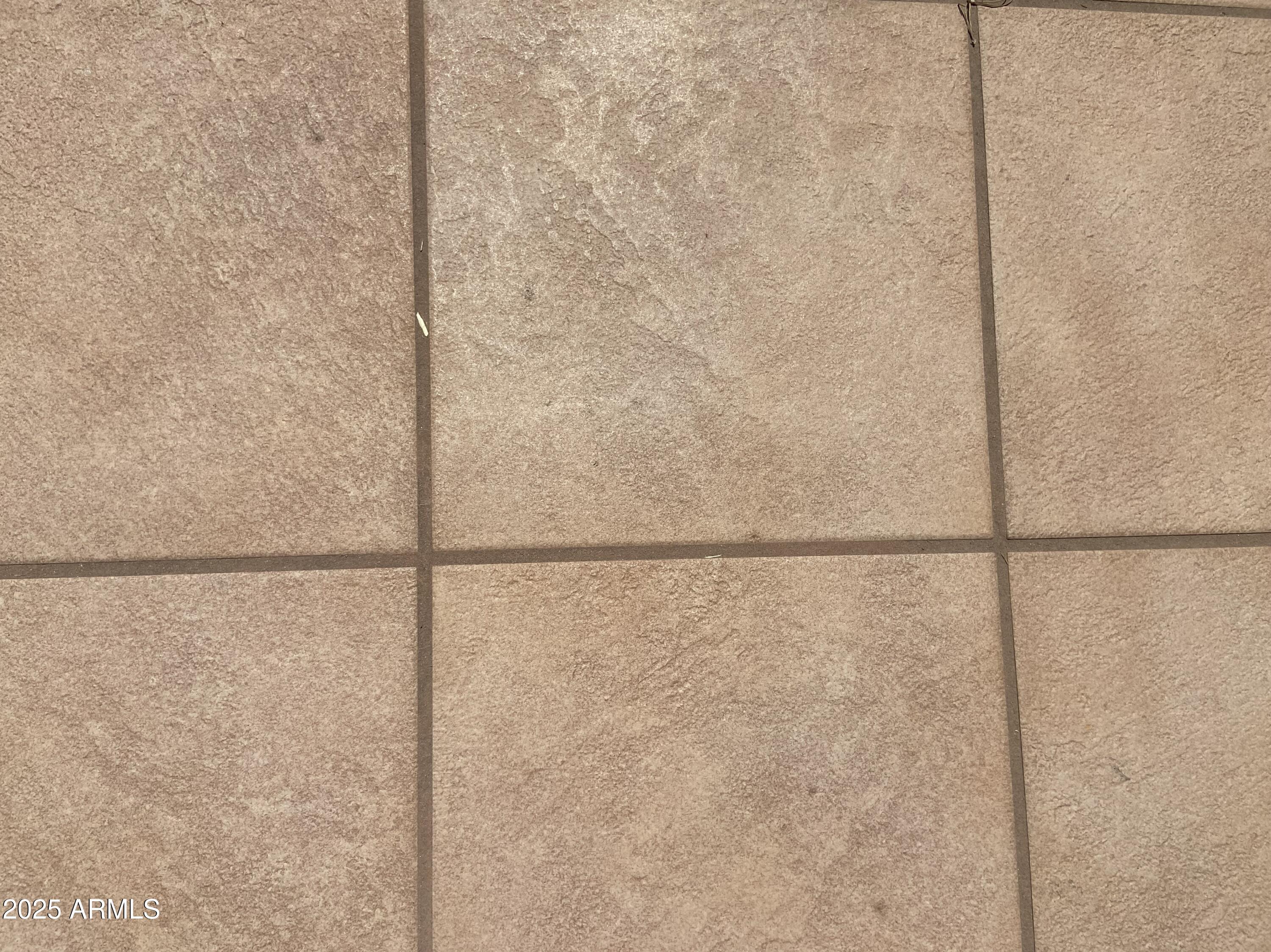 Photo #28