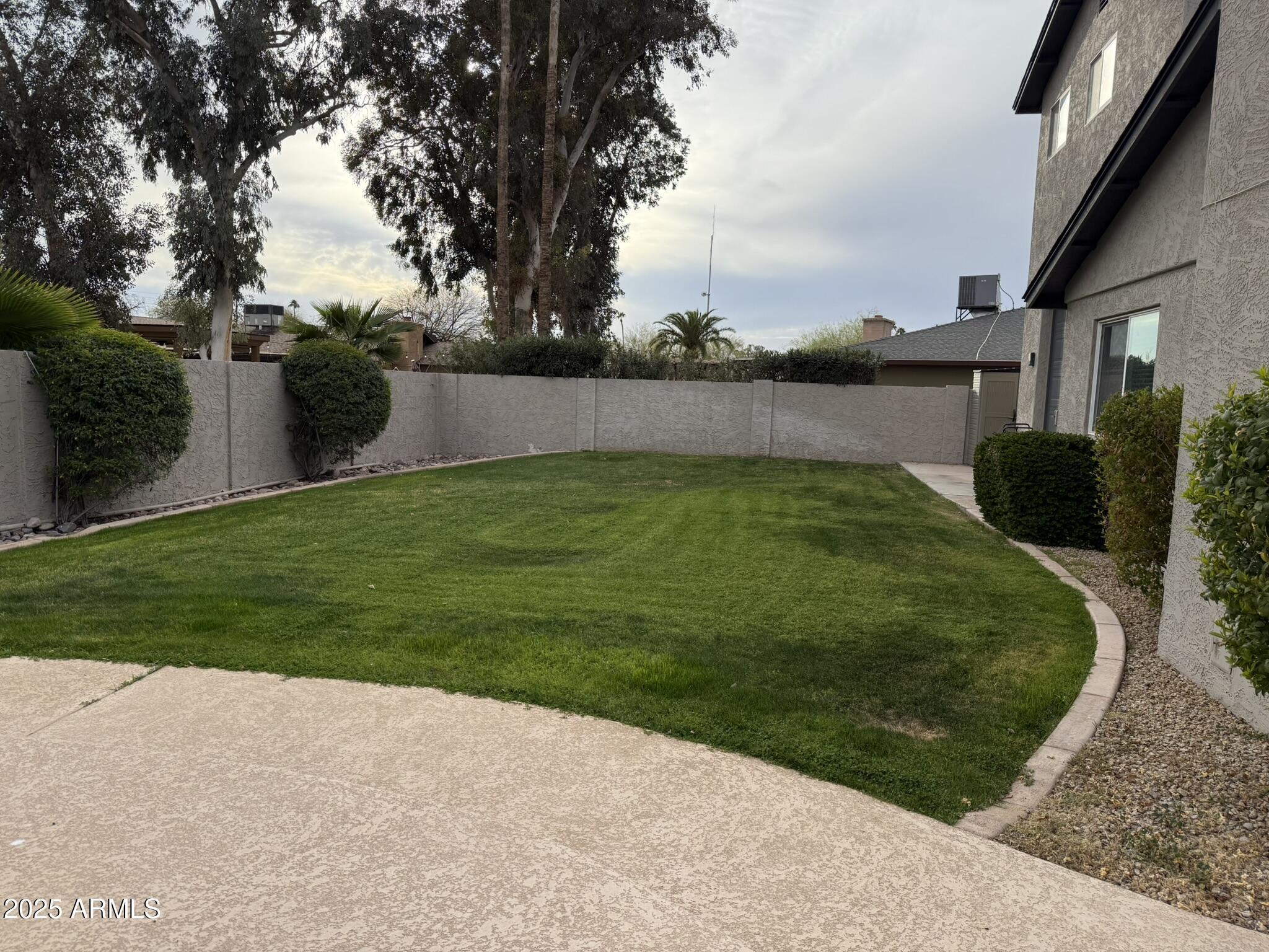 Photo #31
