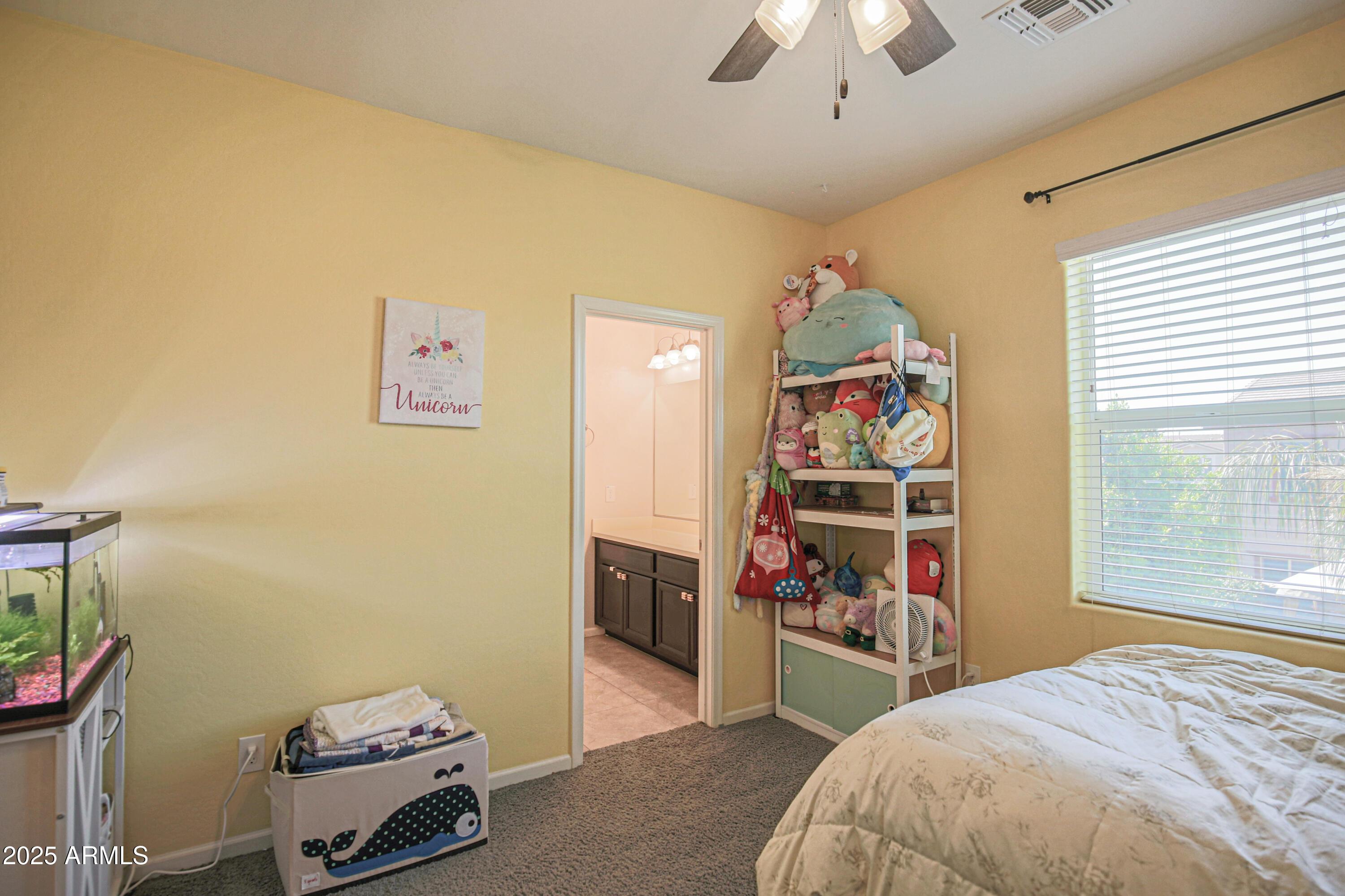 Photo #61