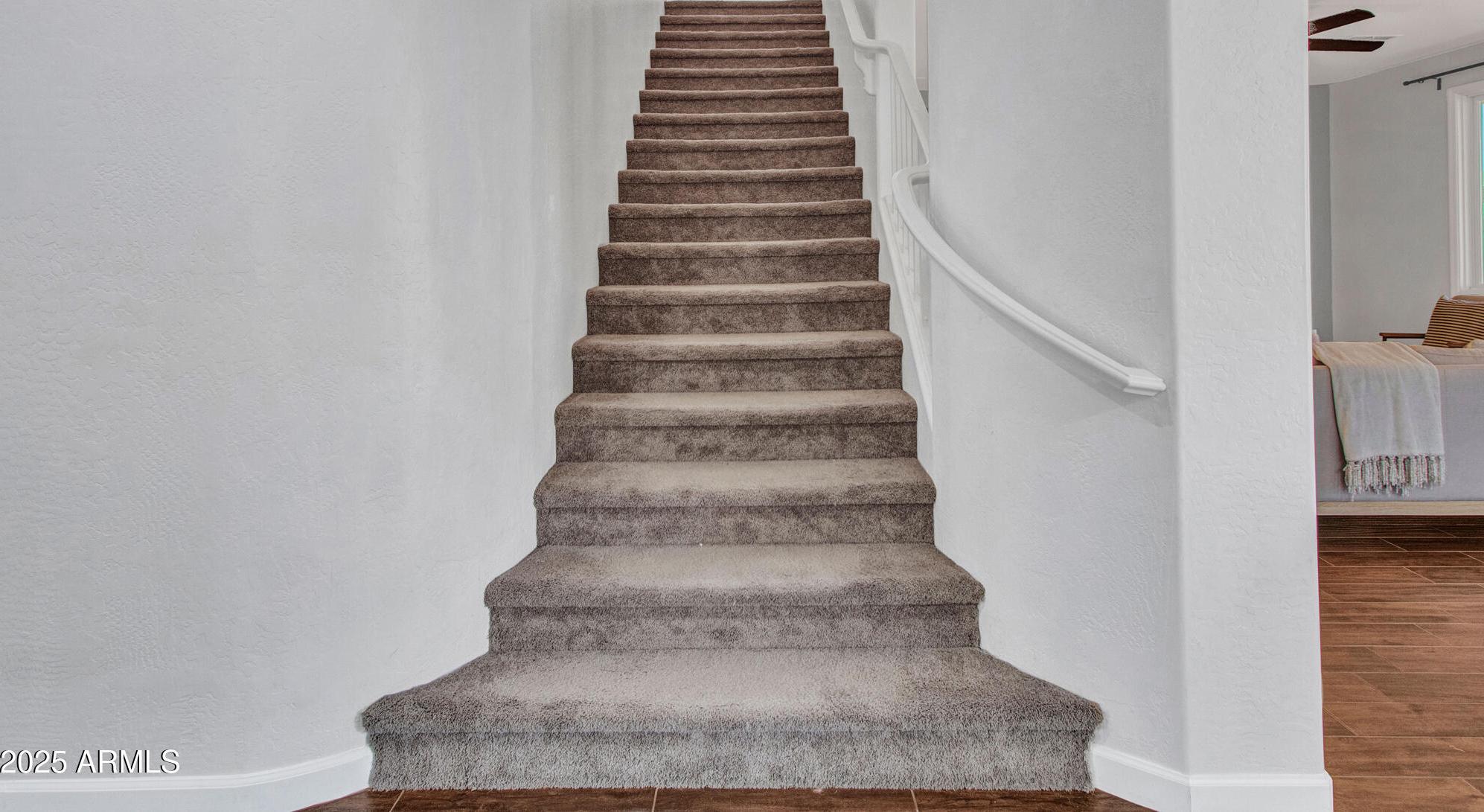 Photo #24