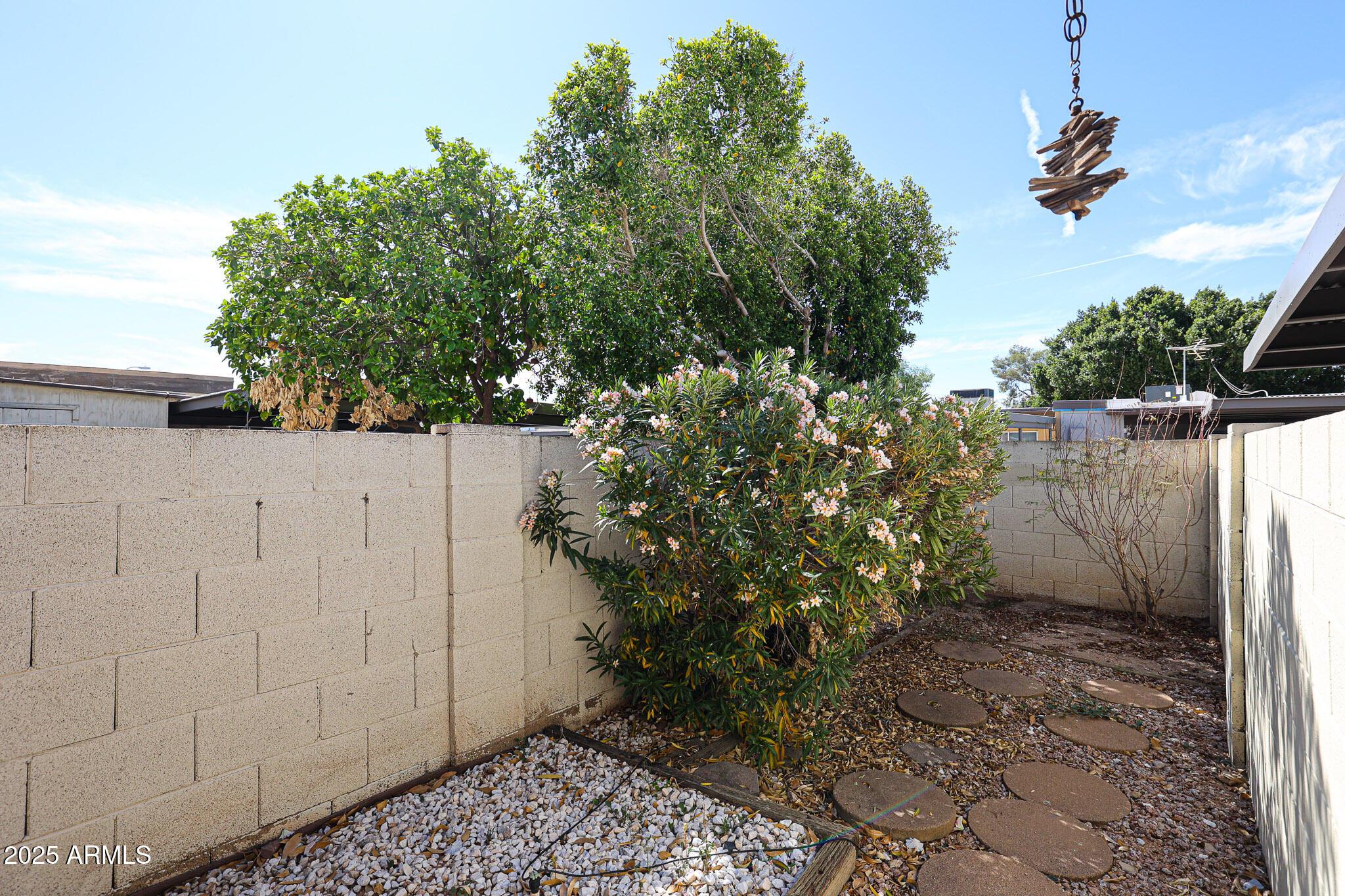 Photo #36