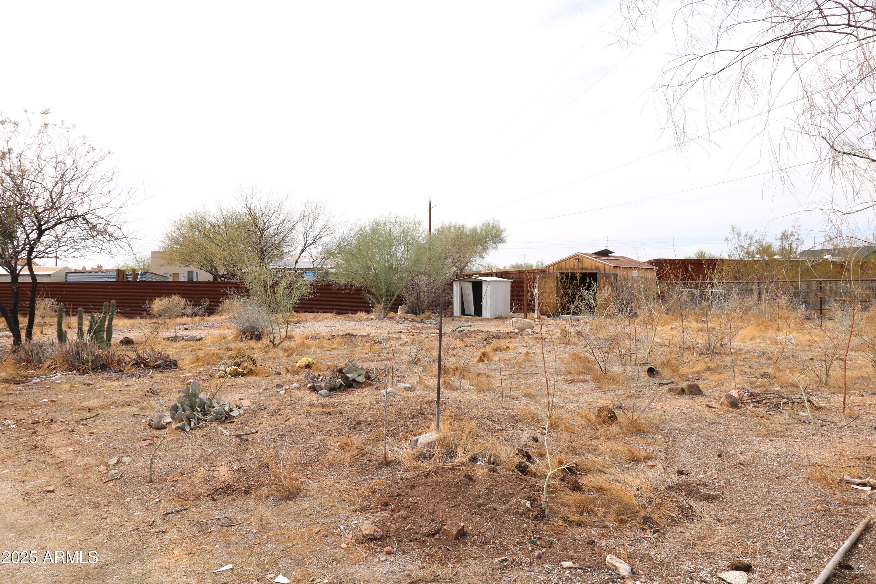 Photo #29