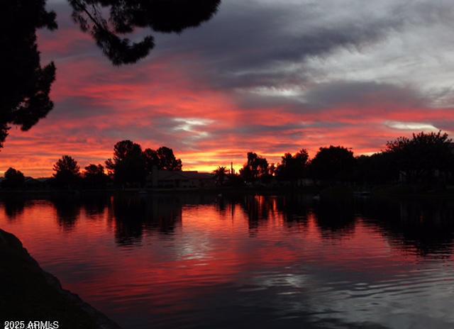 Photo #68