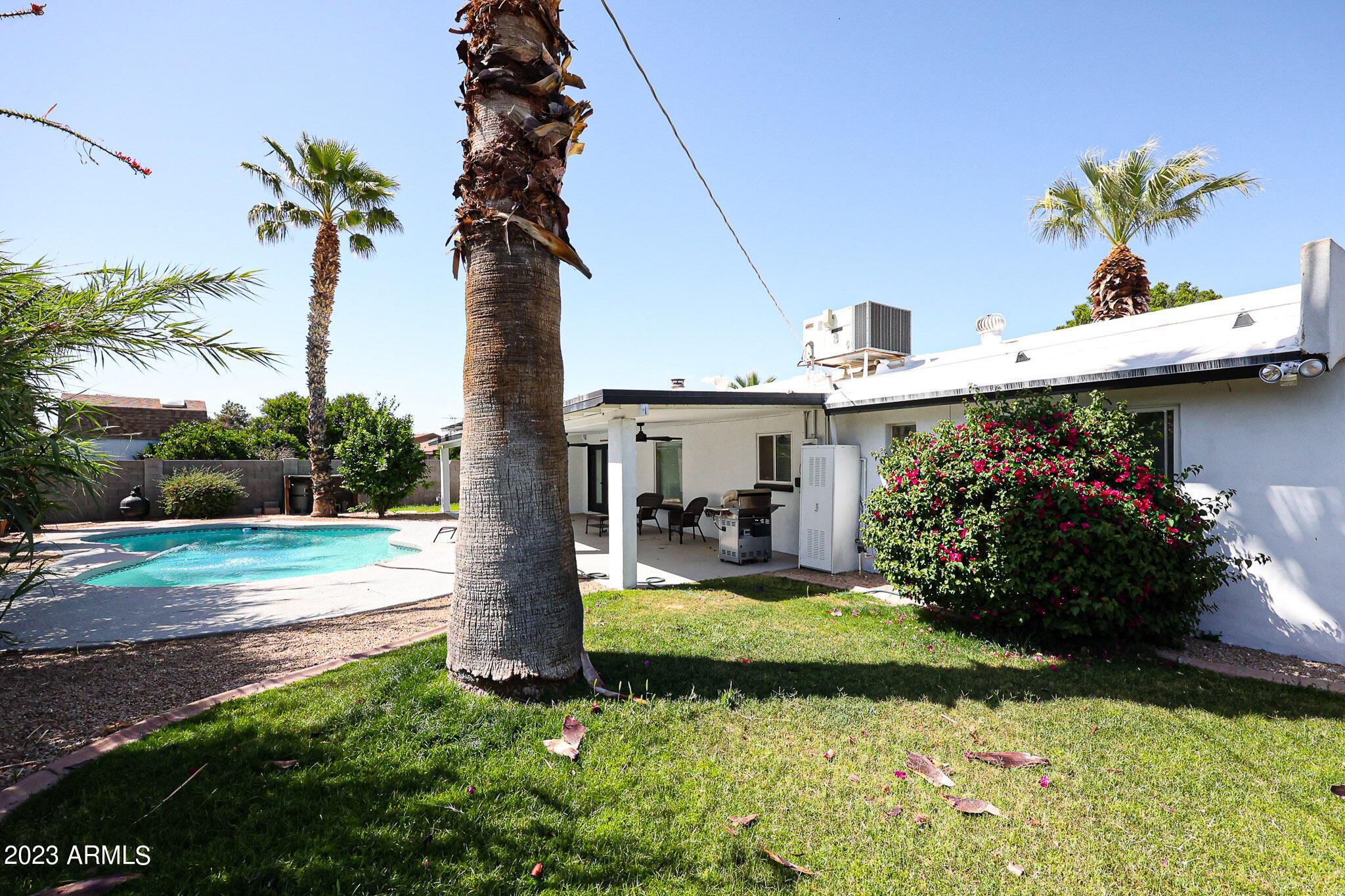 Photo #31