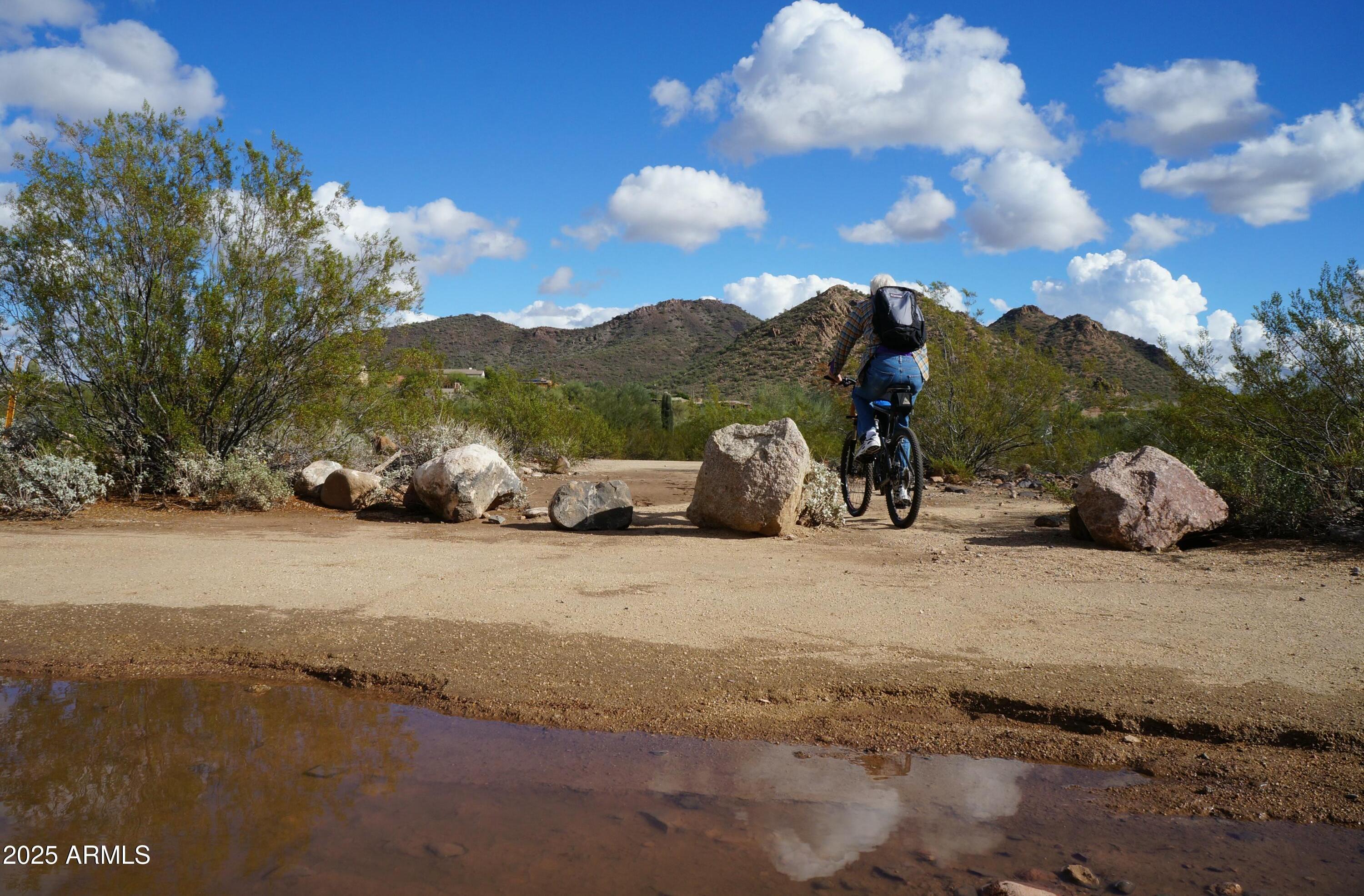 Photo #38