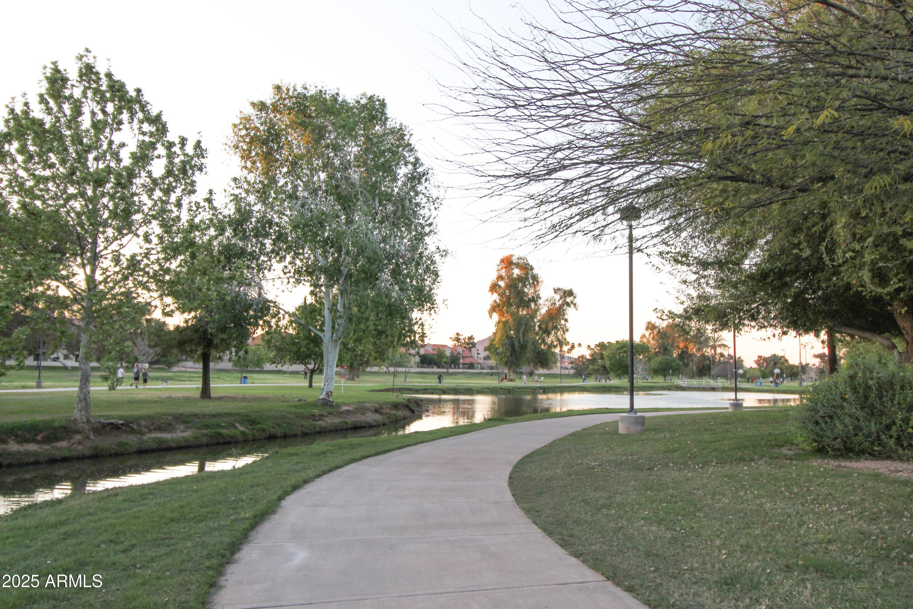 Photo #10