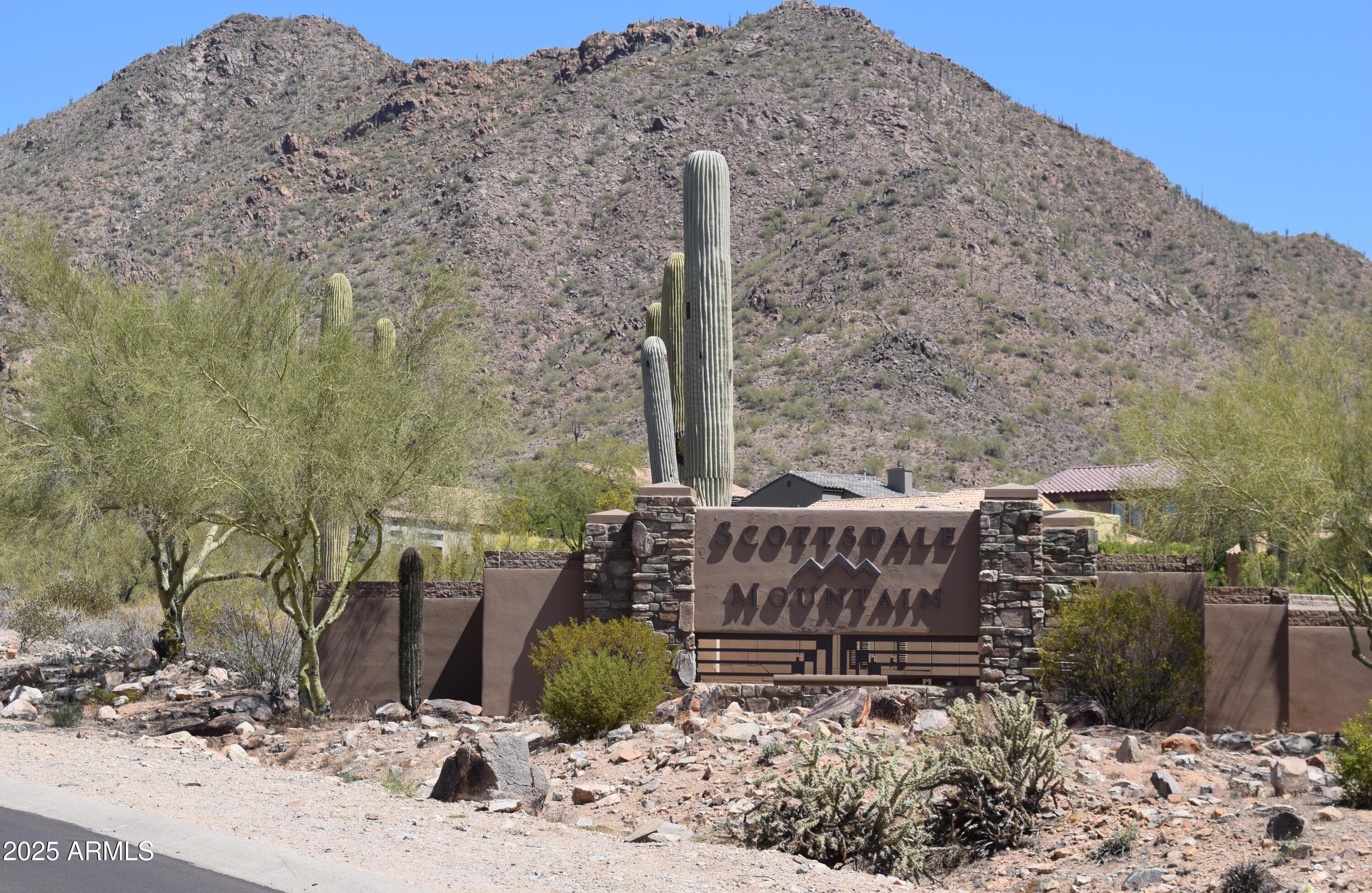 Photo #36