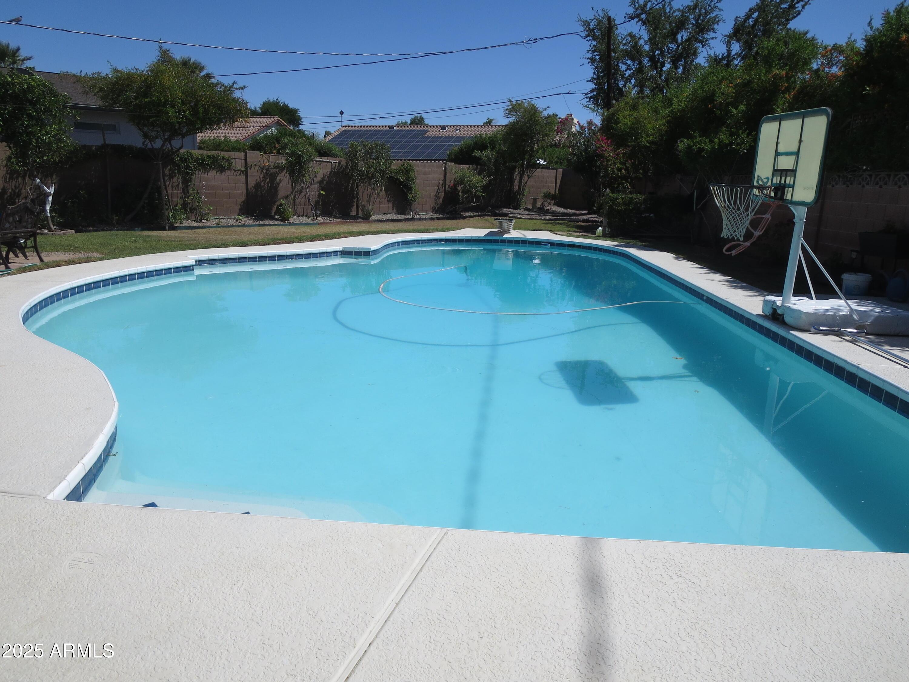 Photo #24