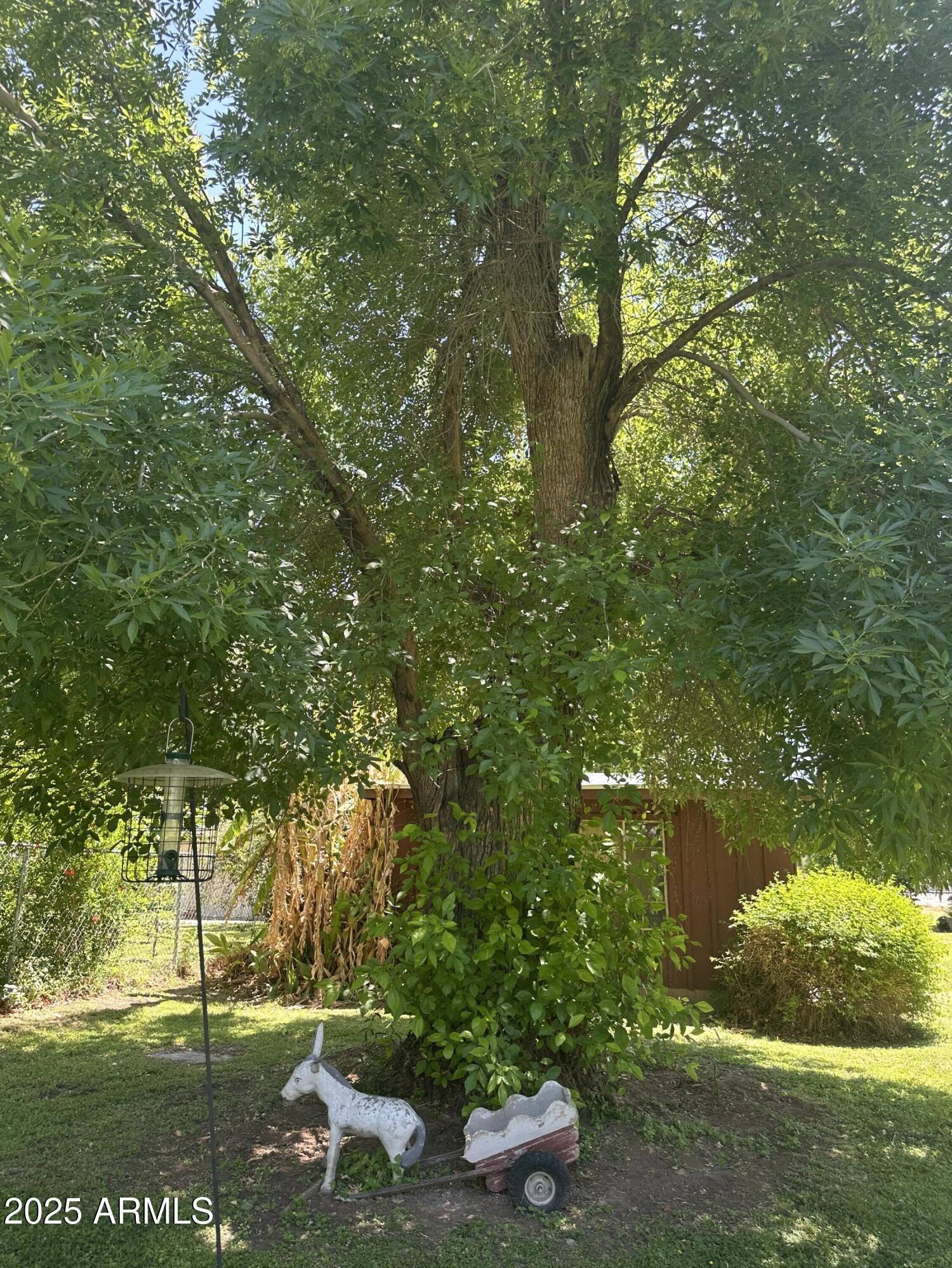 Photo #13
