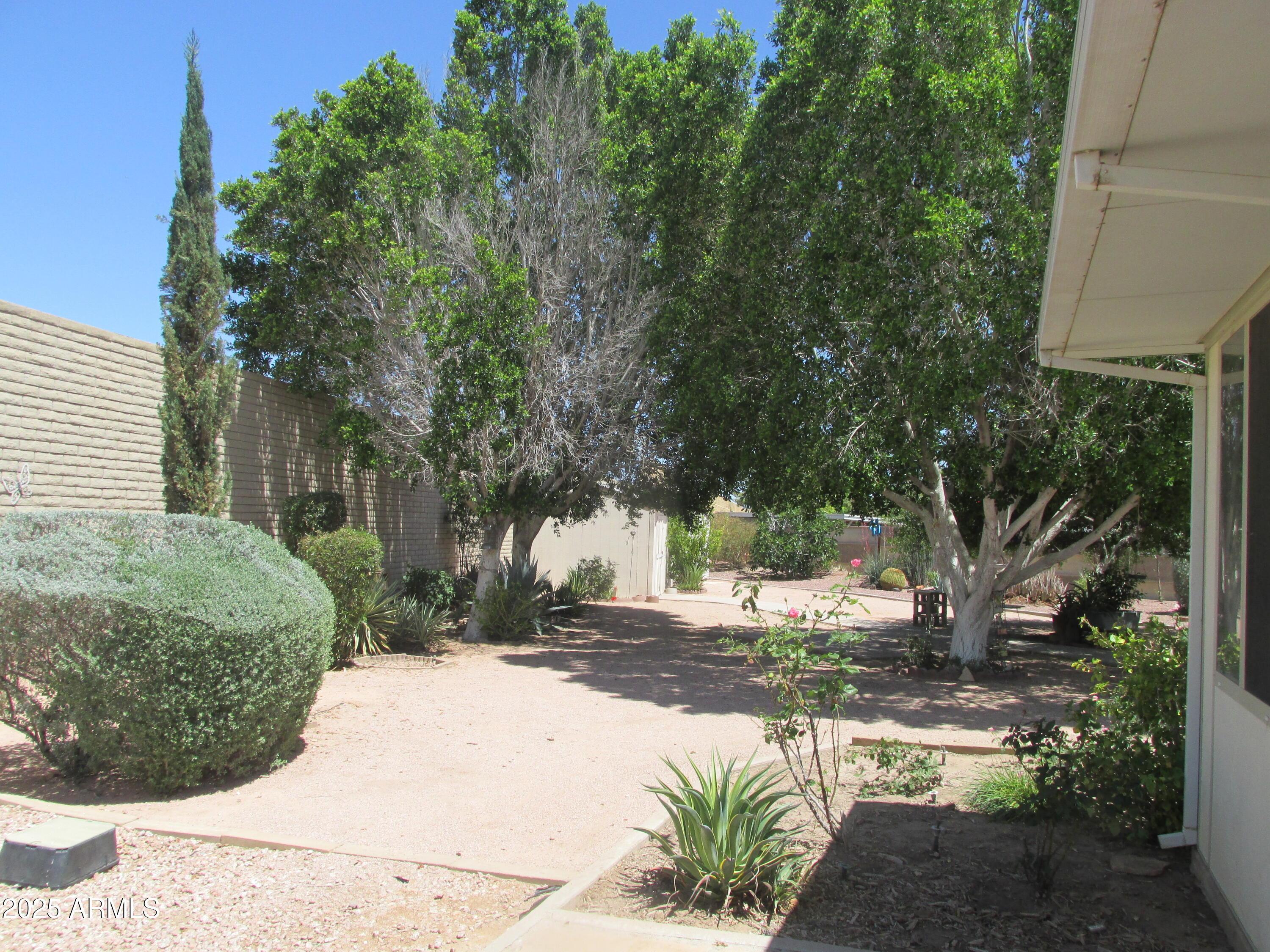 Photo #33