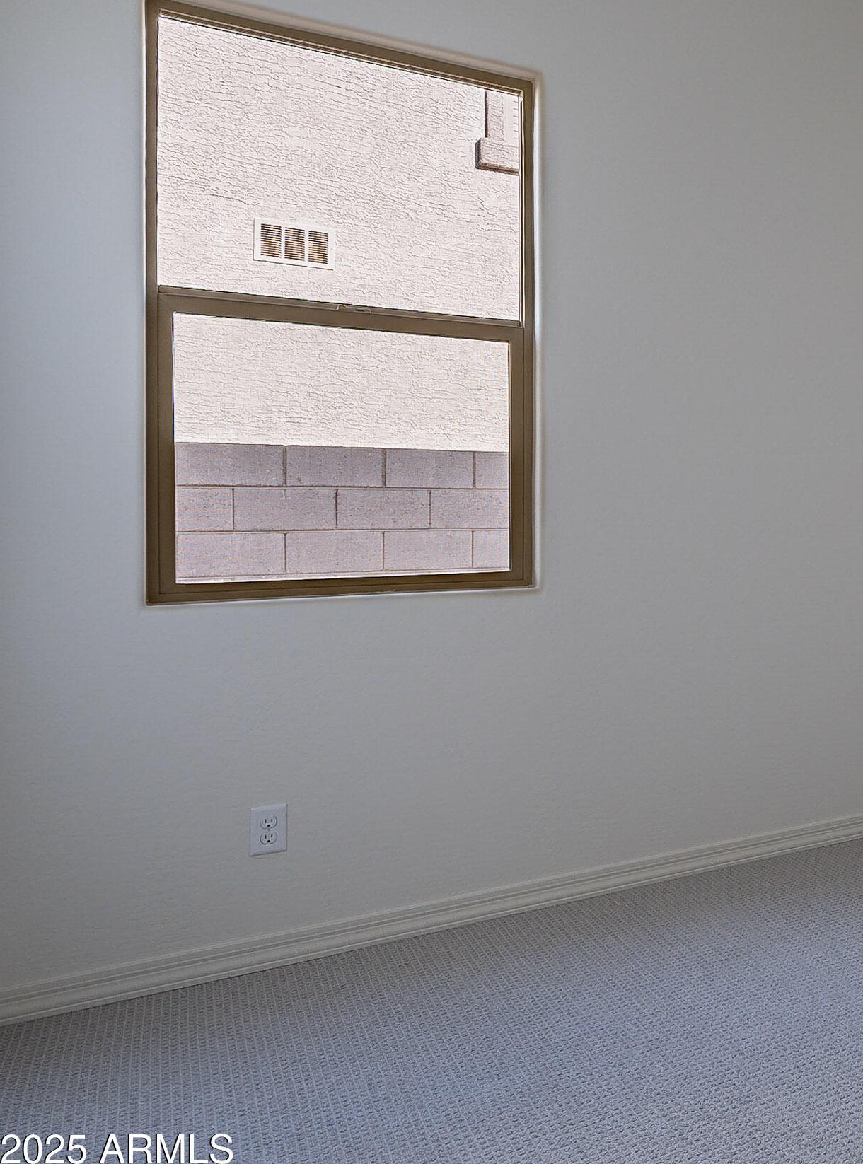 Photo #15