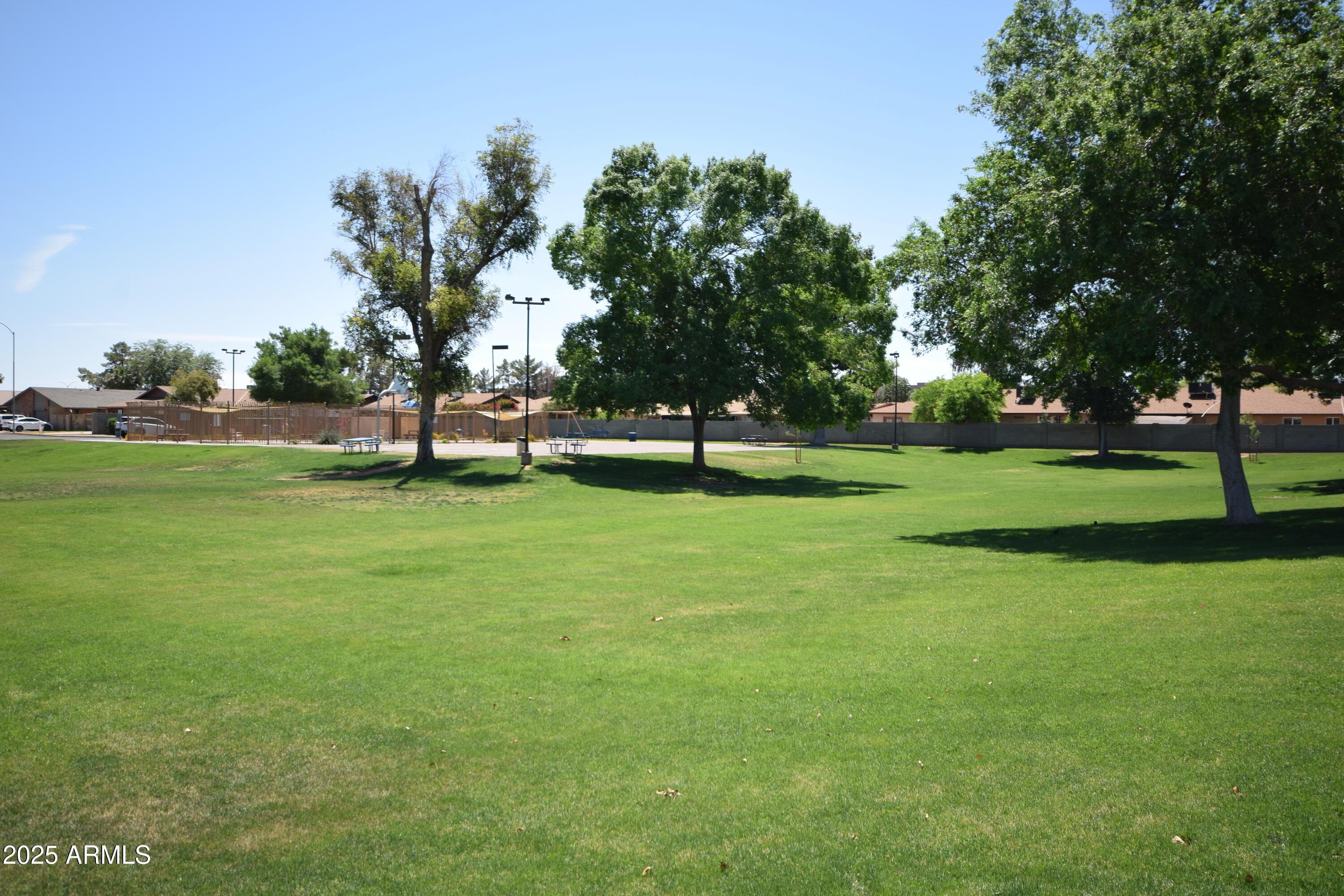 Photo #24