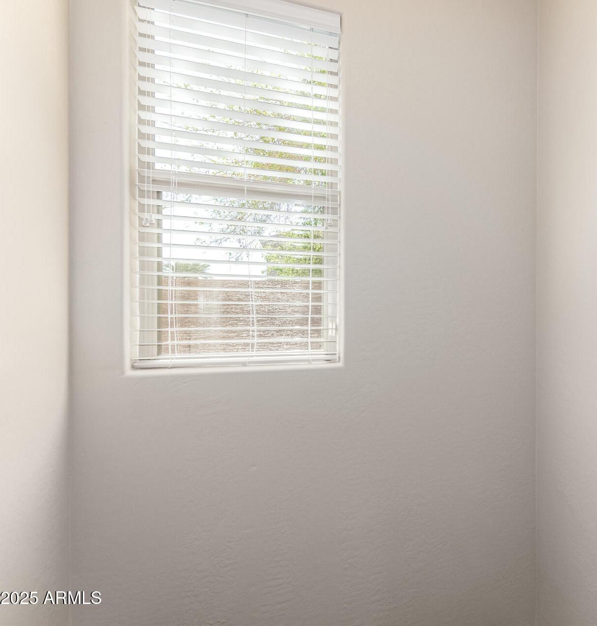 Photo #41