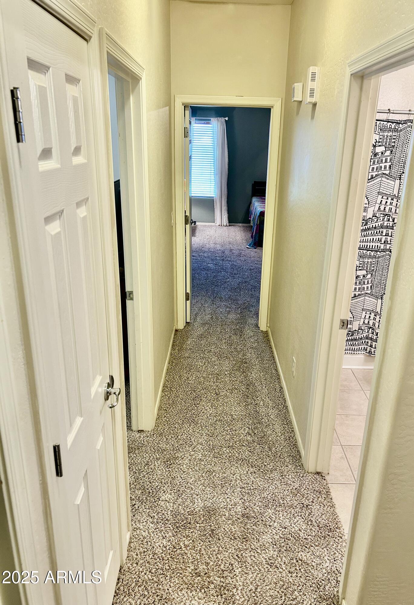 Photo #15