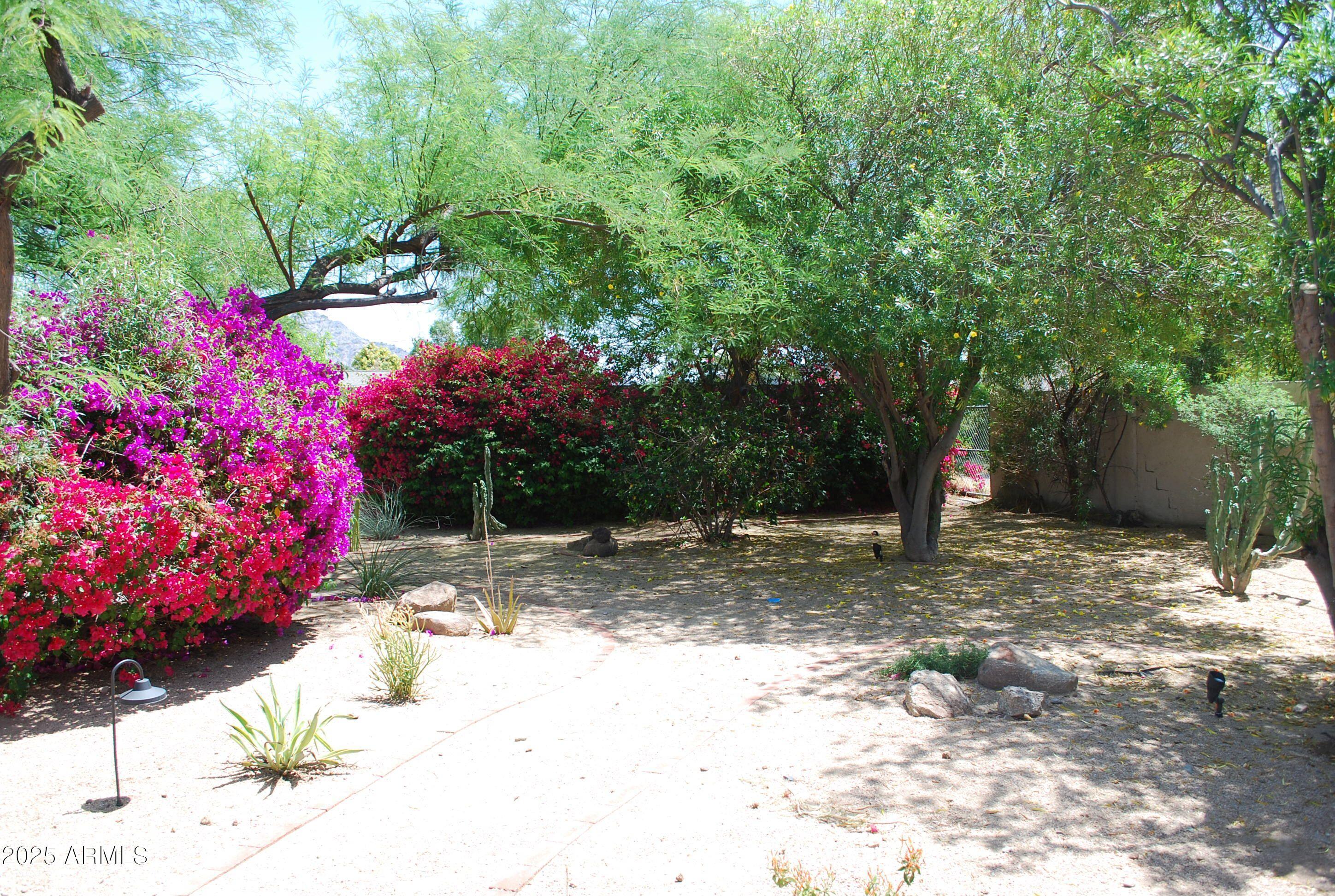 Photo #24