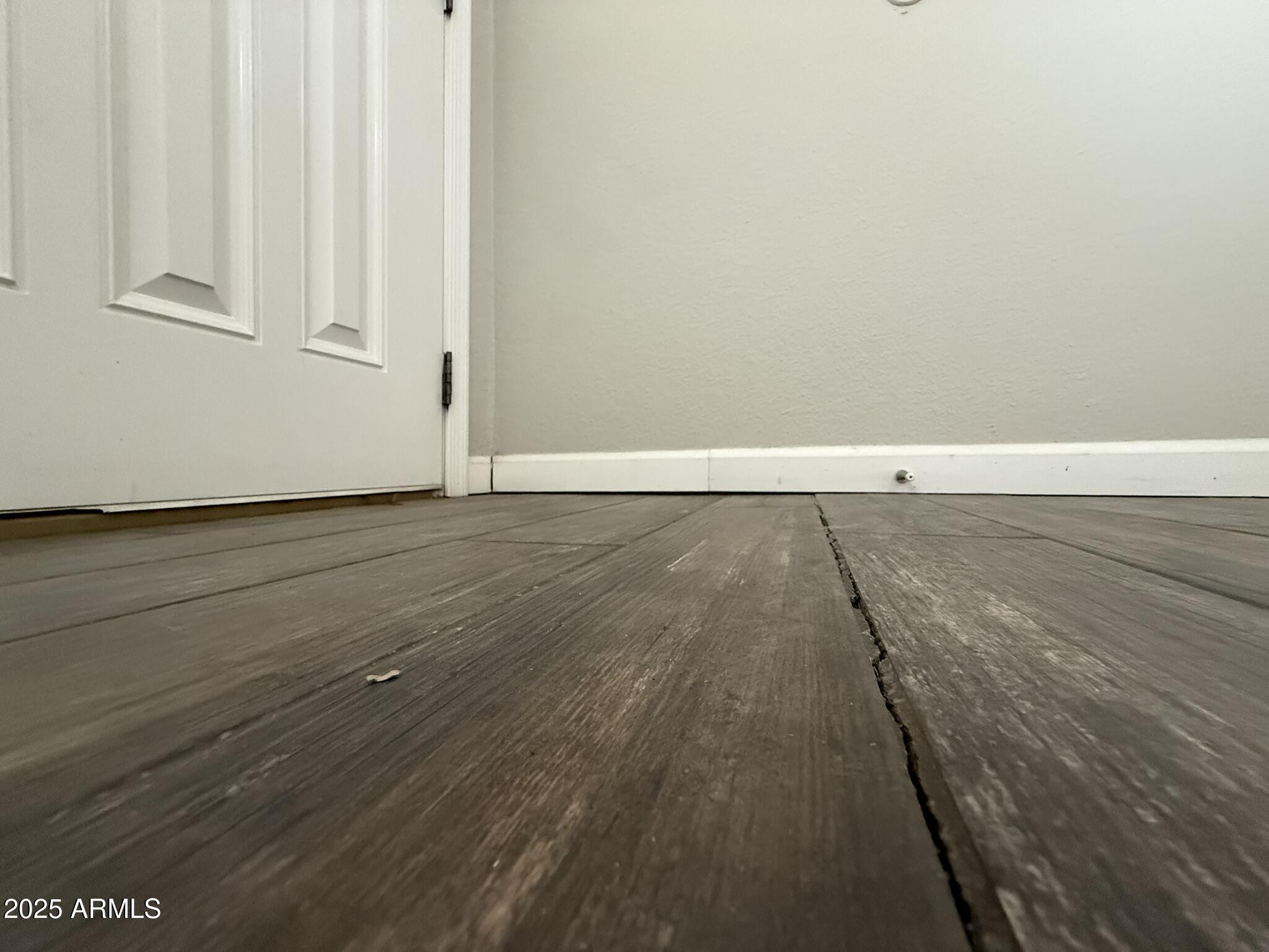 Photo #37