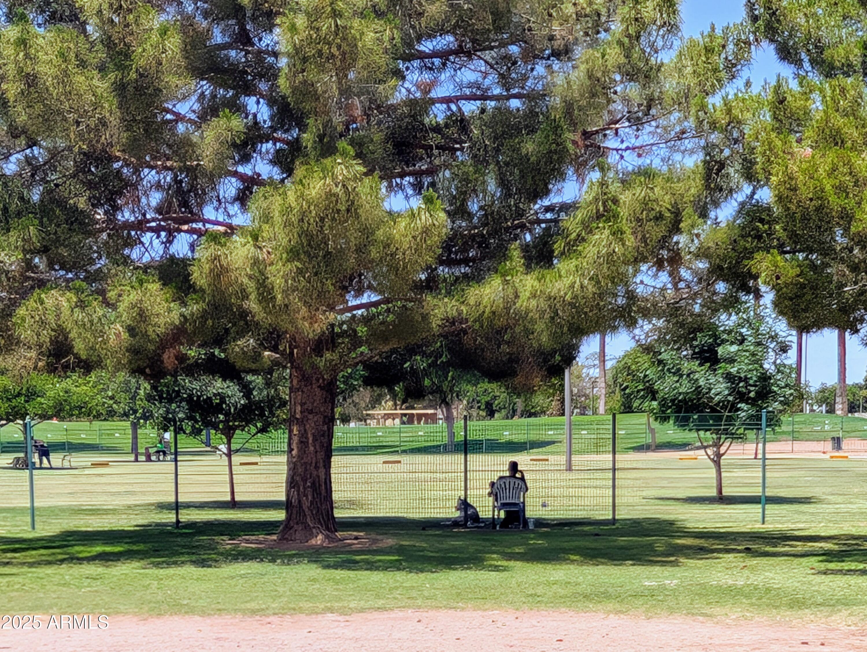Photo #41