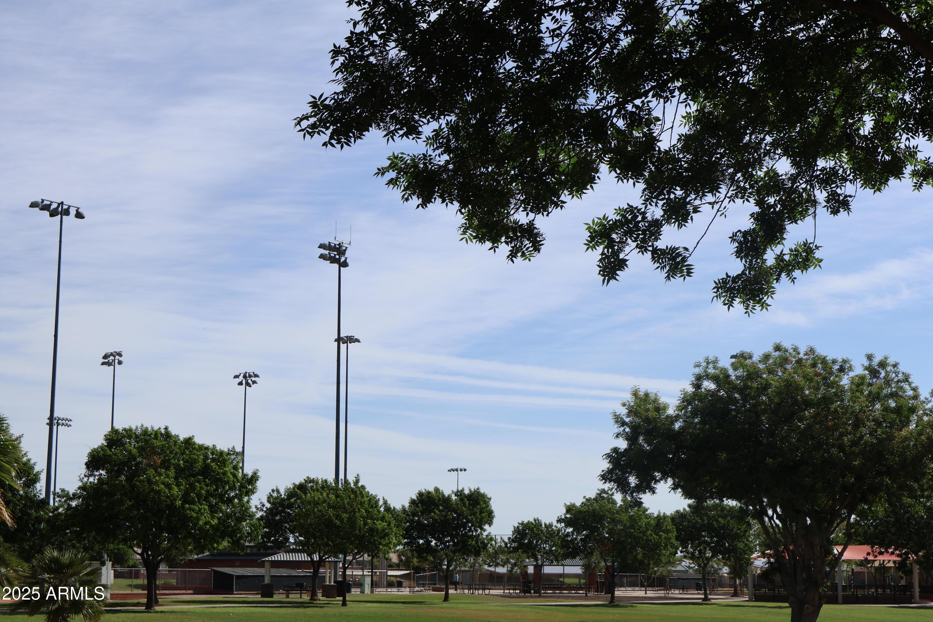 Photo #45
