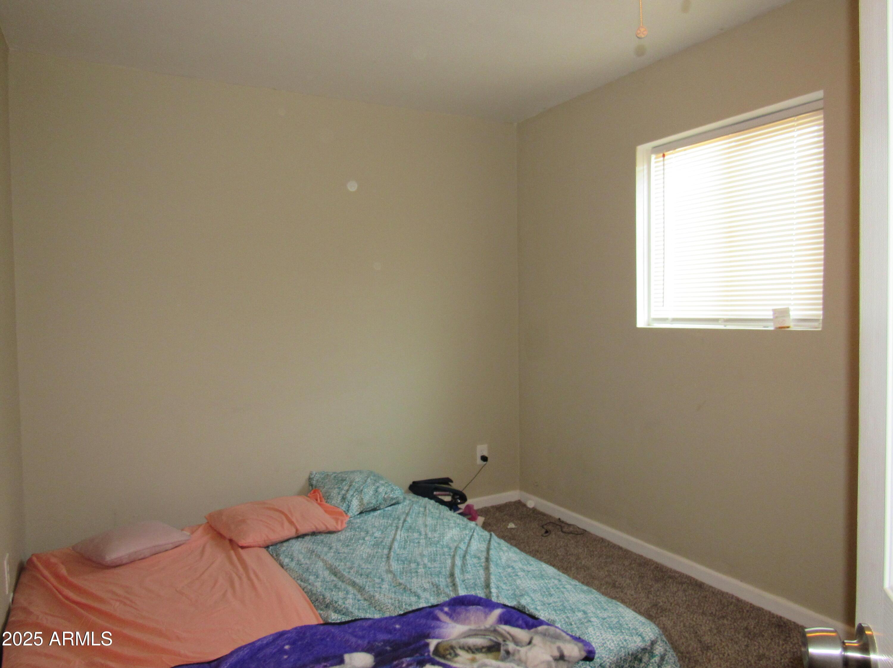 Photo #15