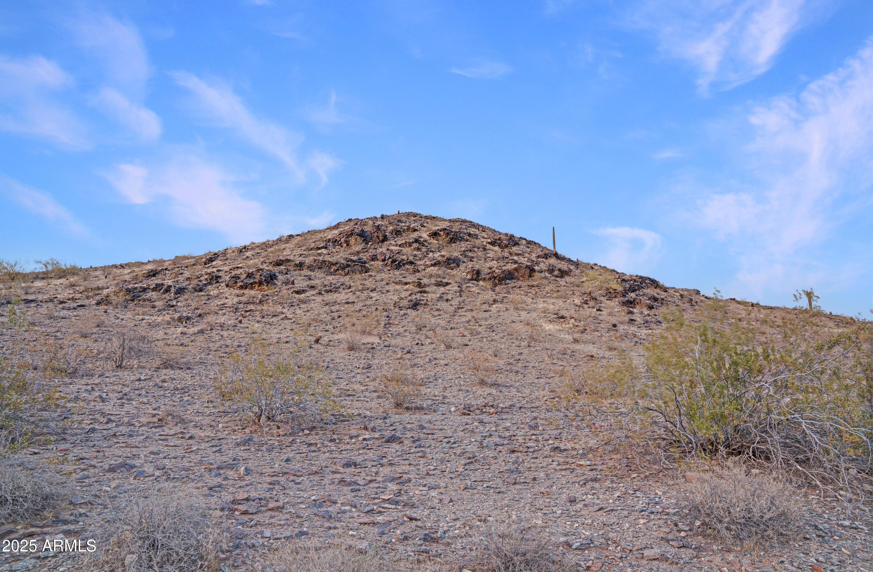 Photo #10