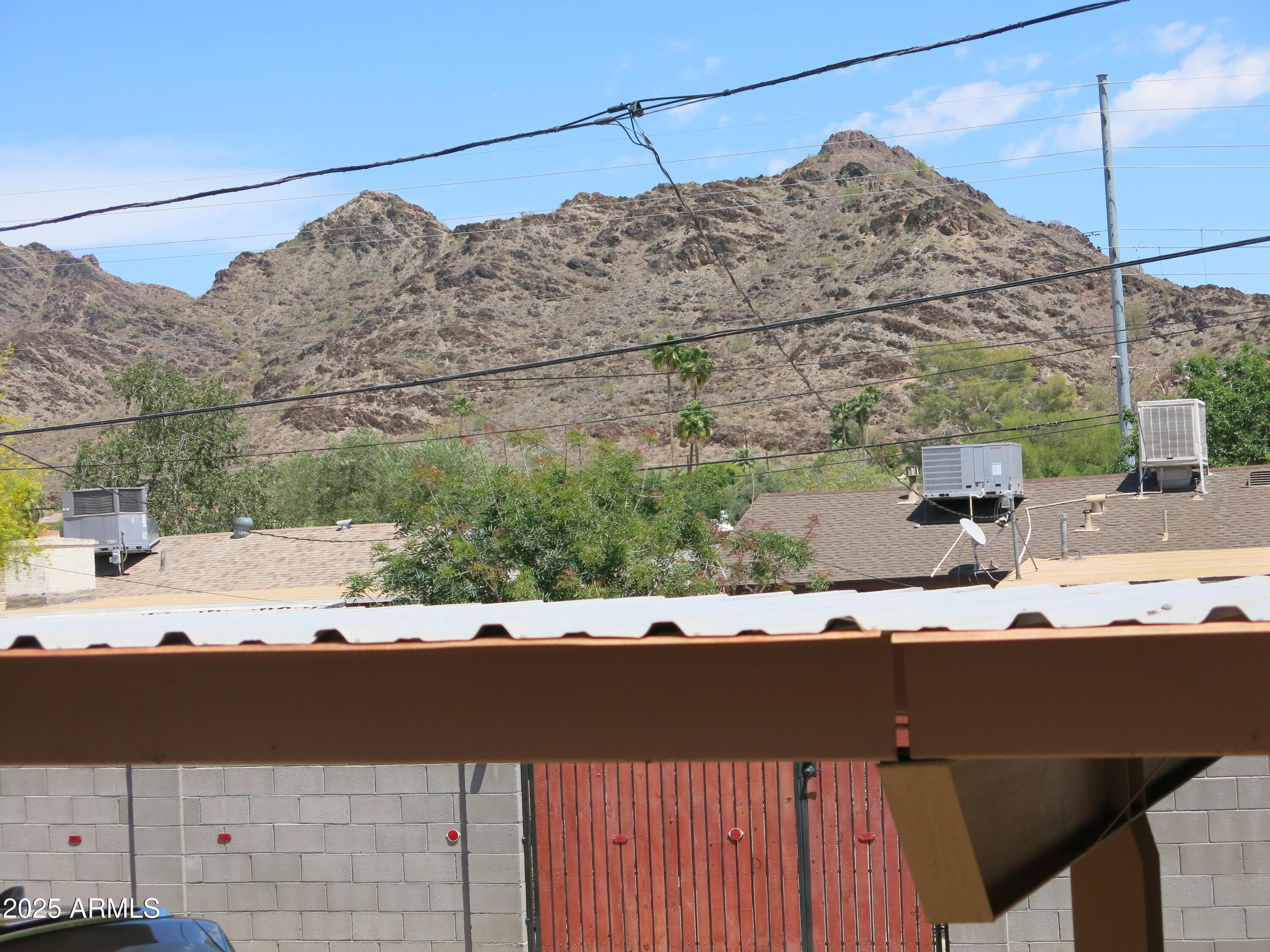 Photo #22