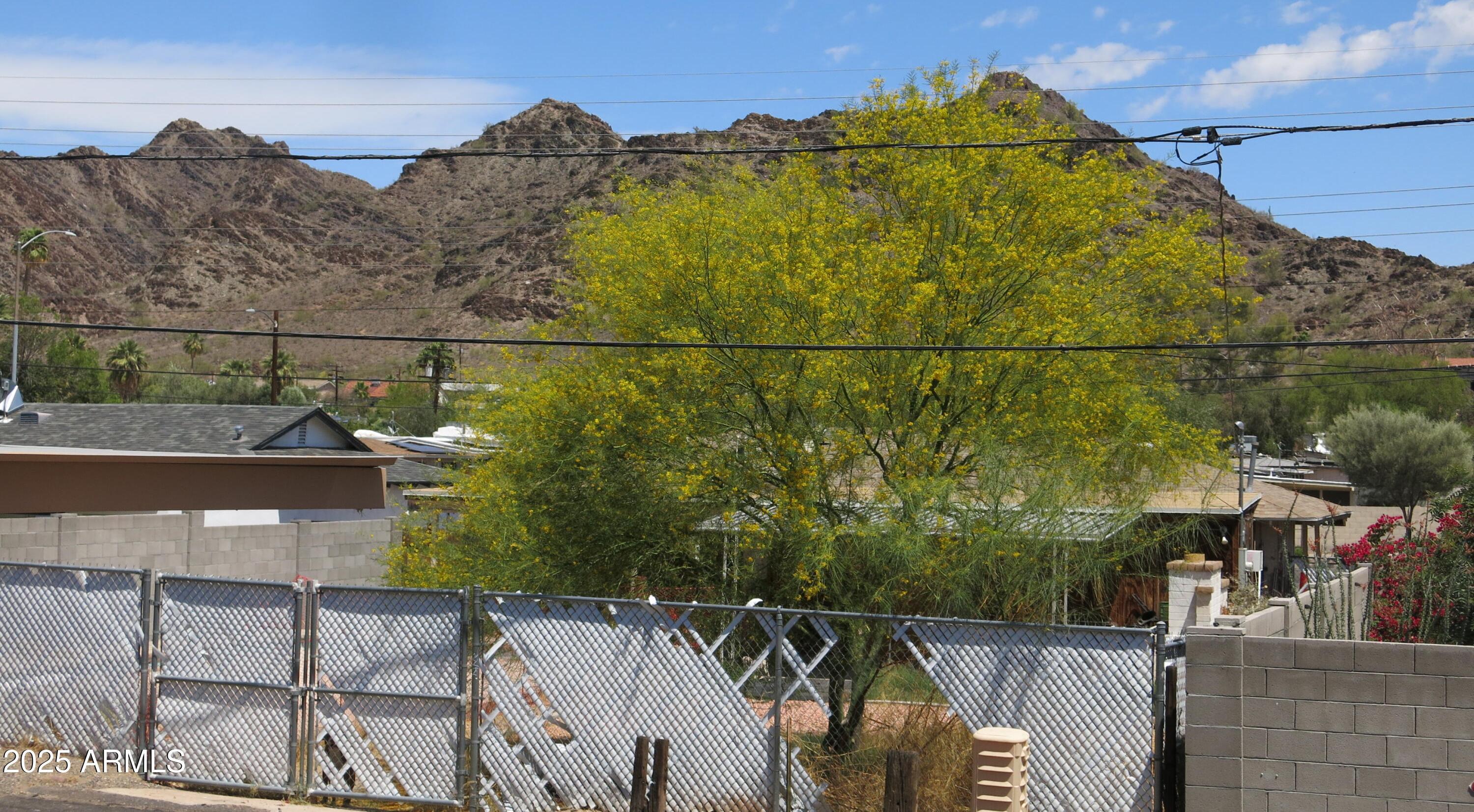 Photo #26