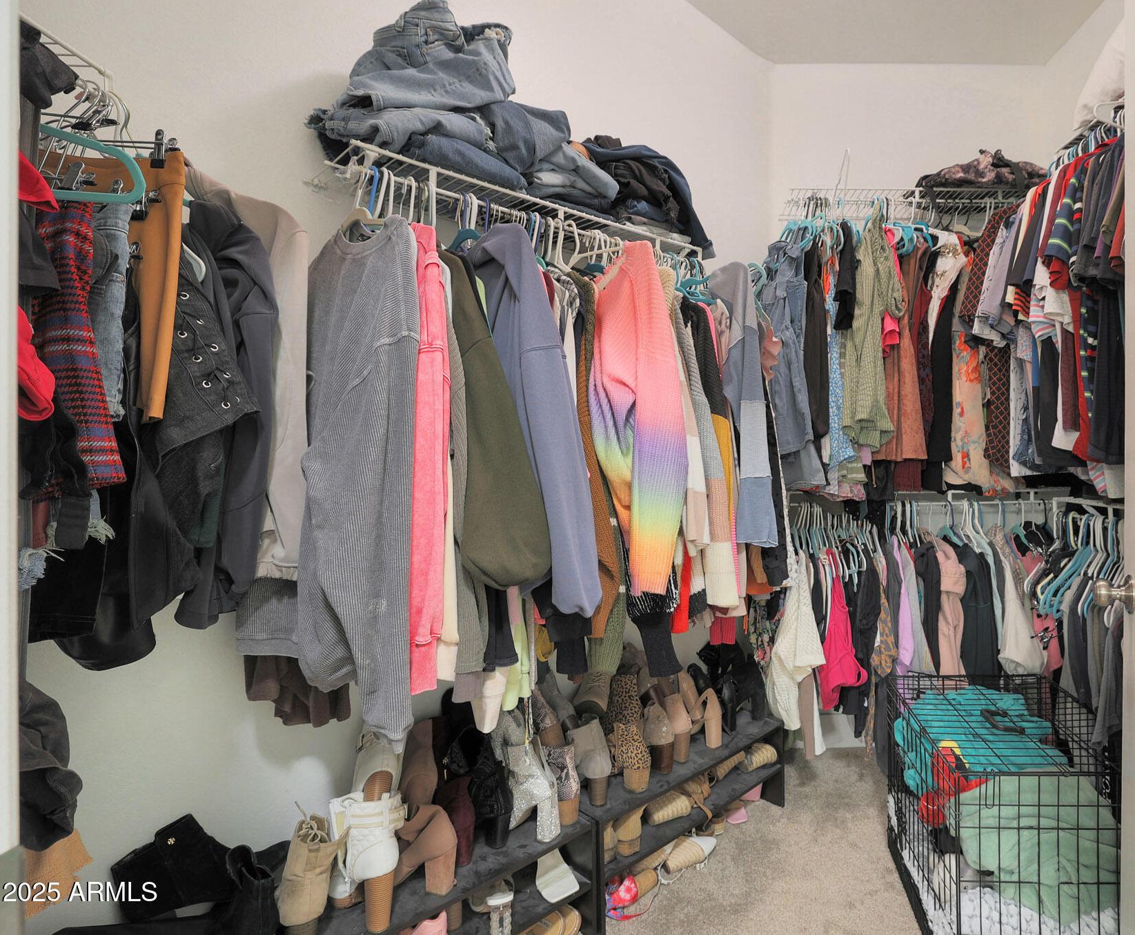 Photo #21
