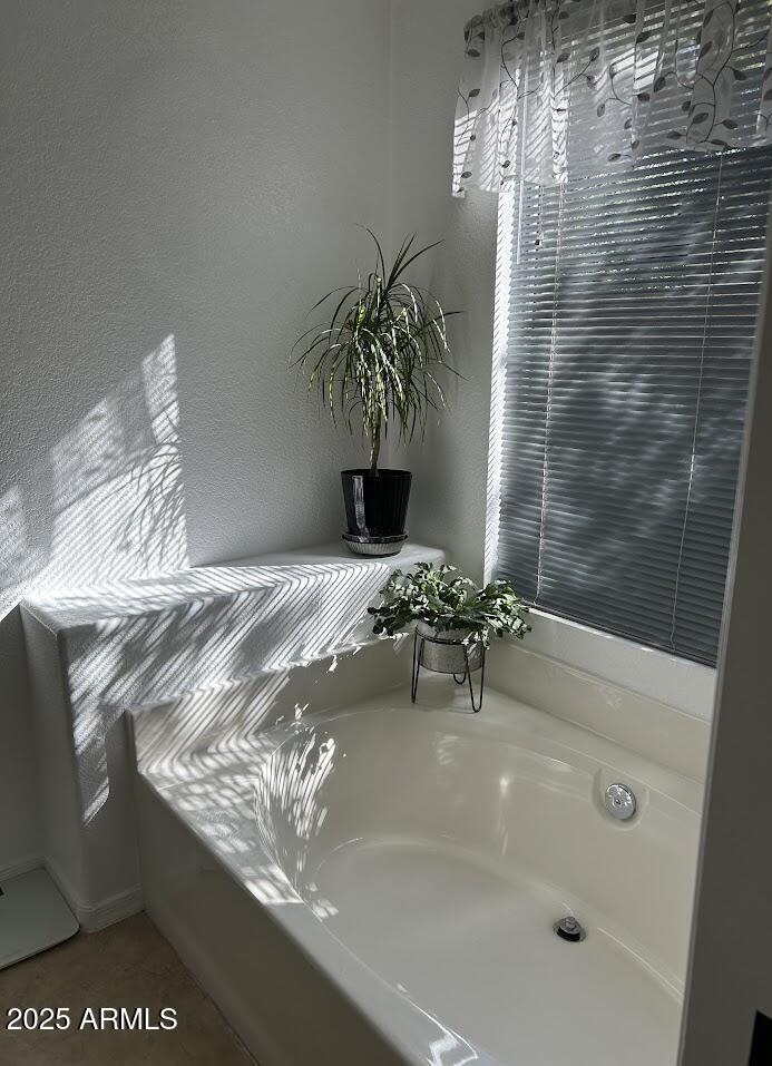Photo #19