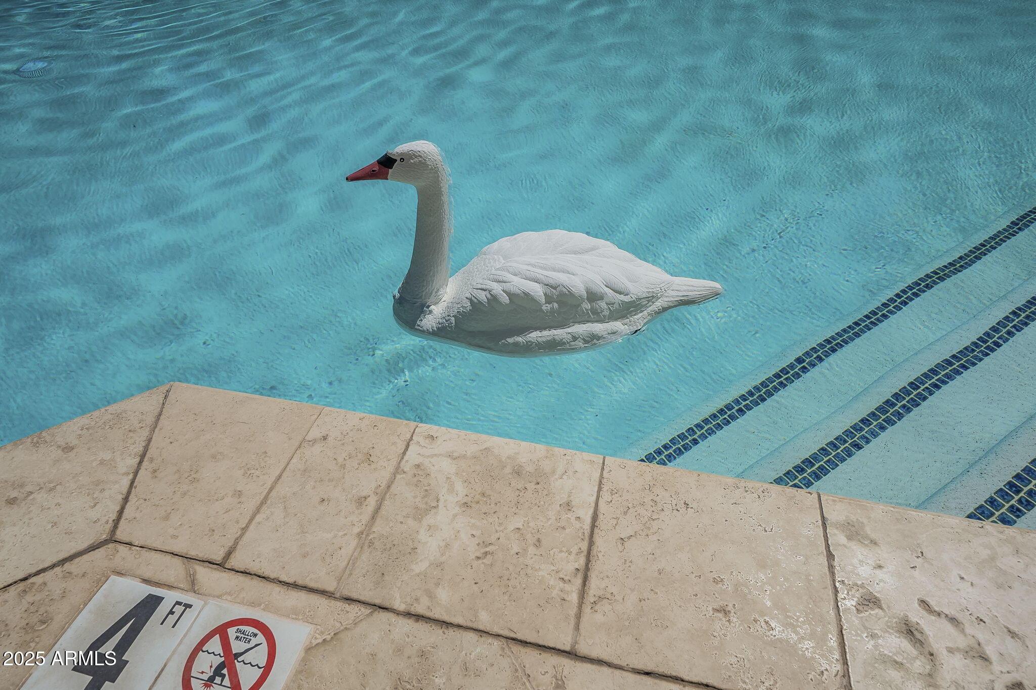 Photo #46
