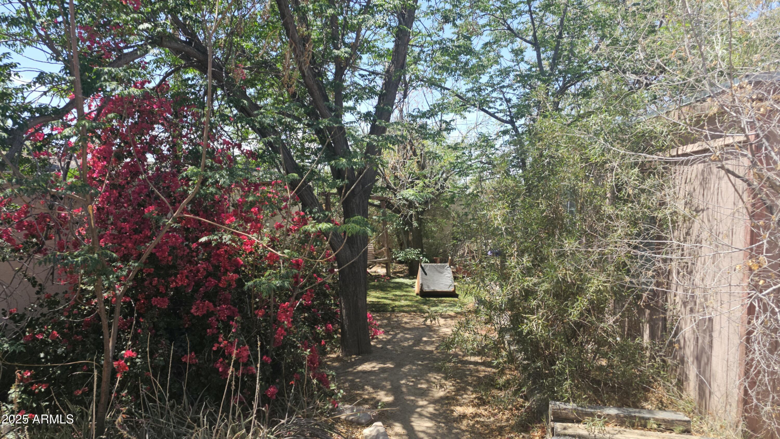Photo #12