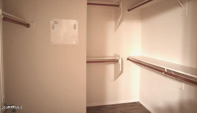 Photo #15