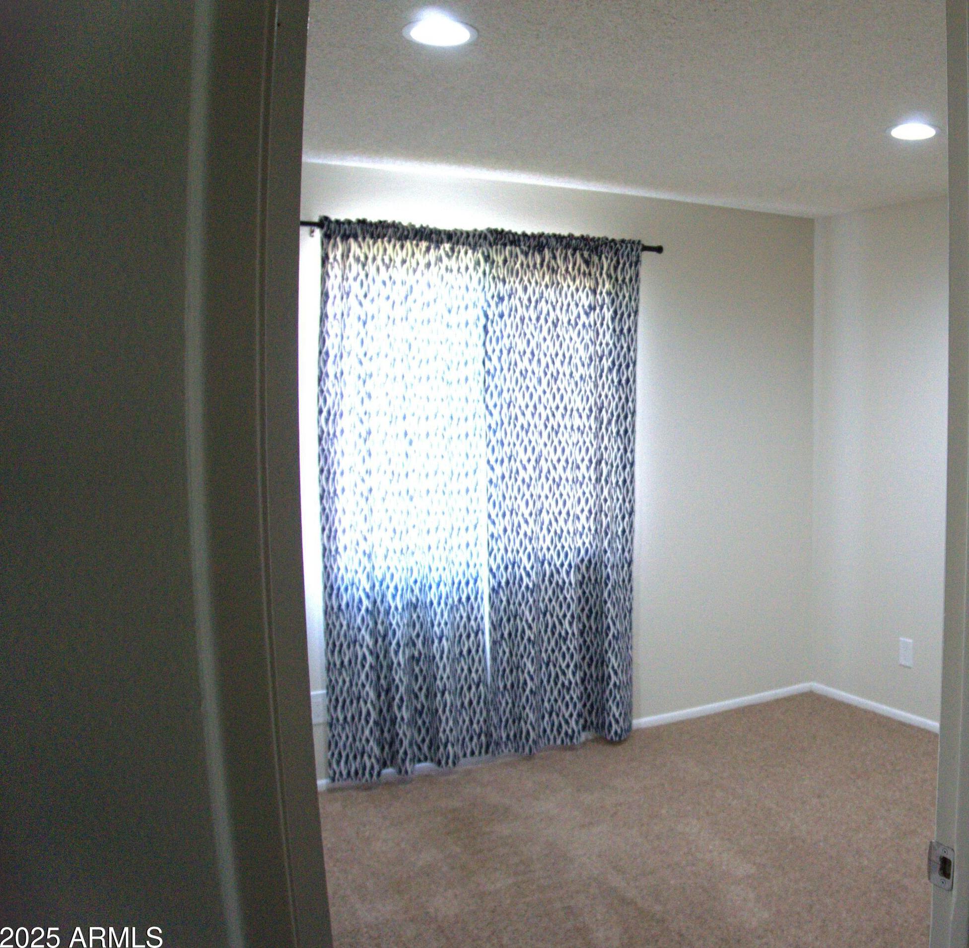 Photo #11