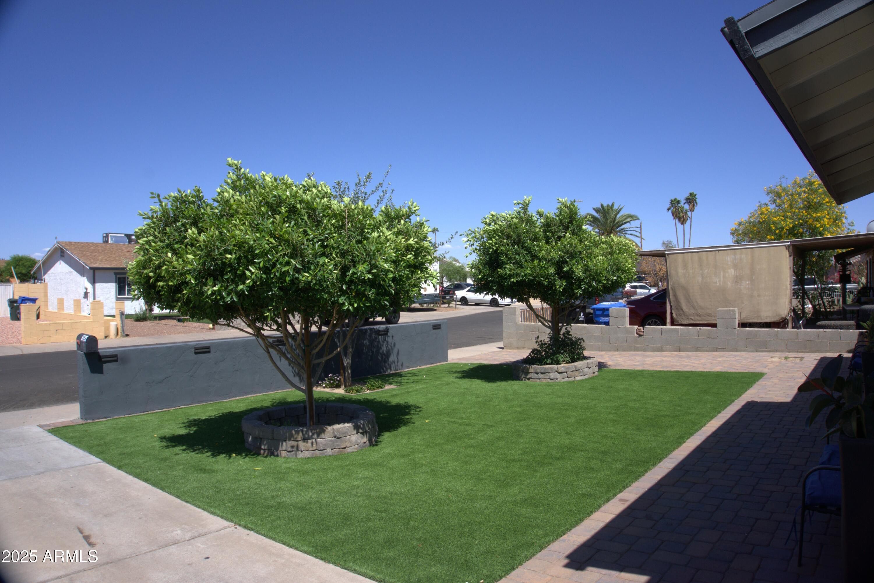 Photo #3