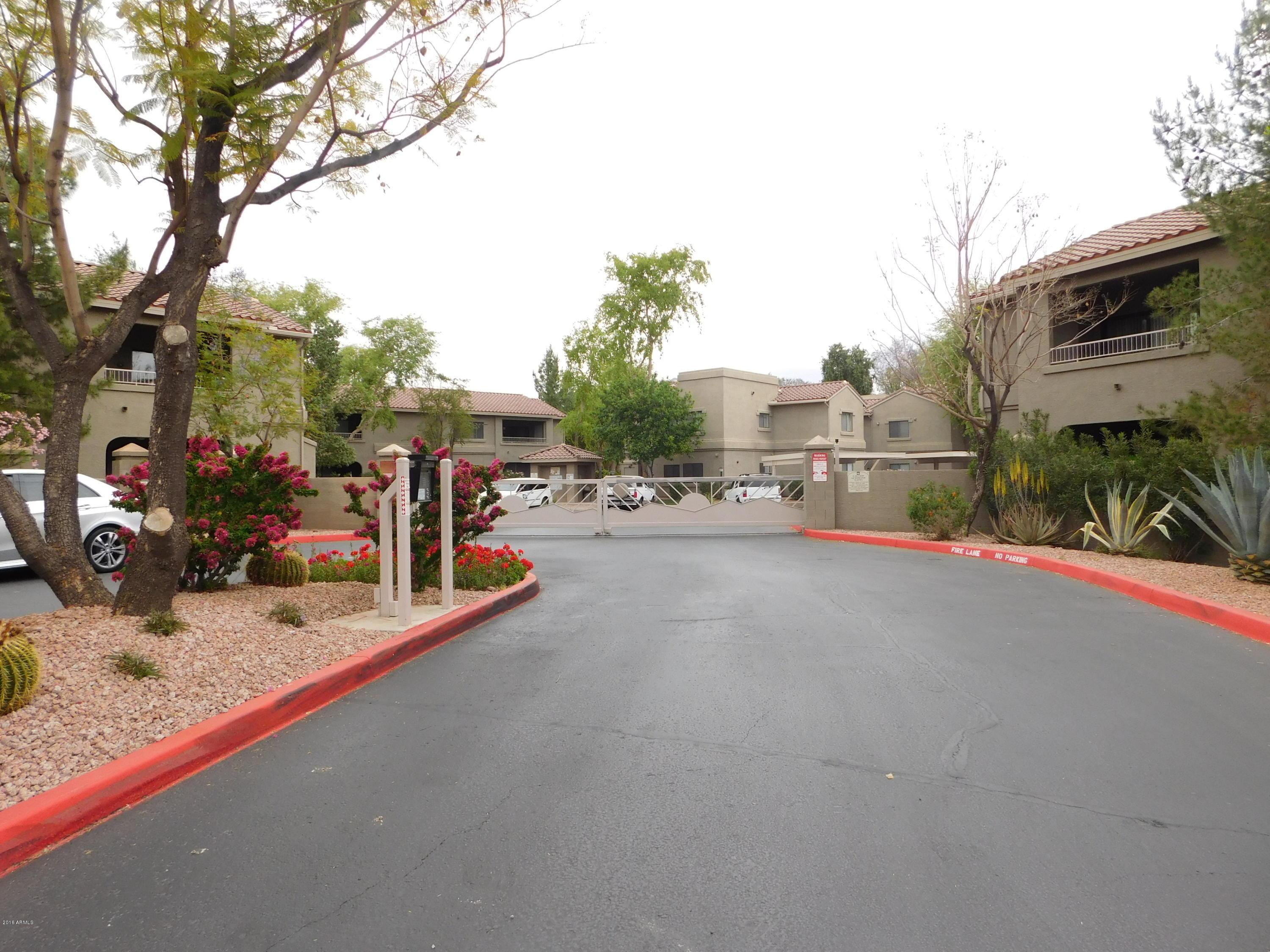 Photo #38