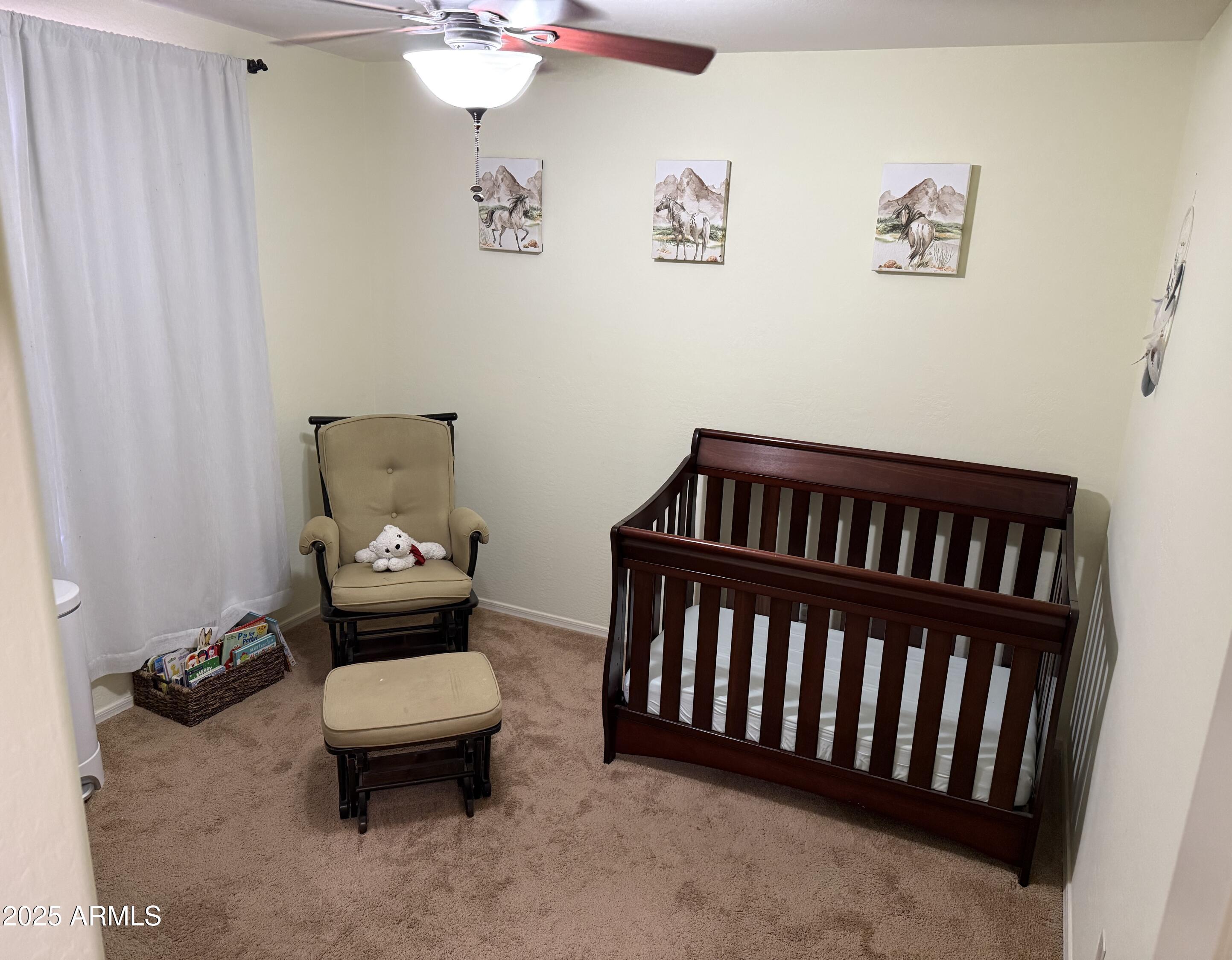 Photo #22