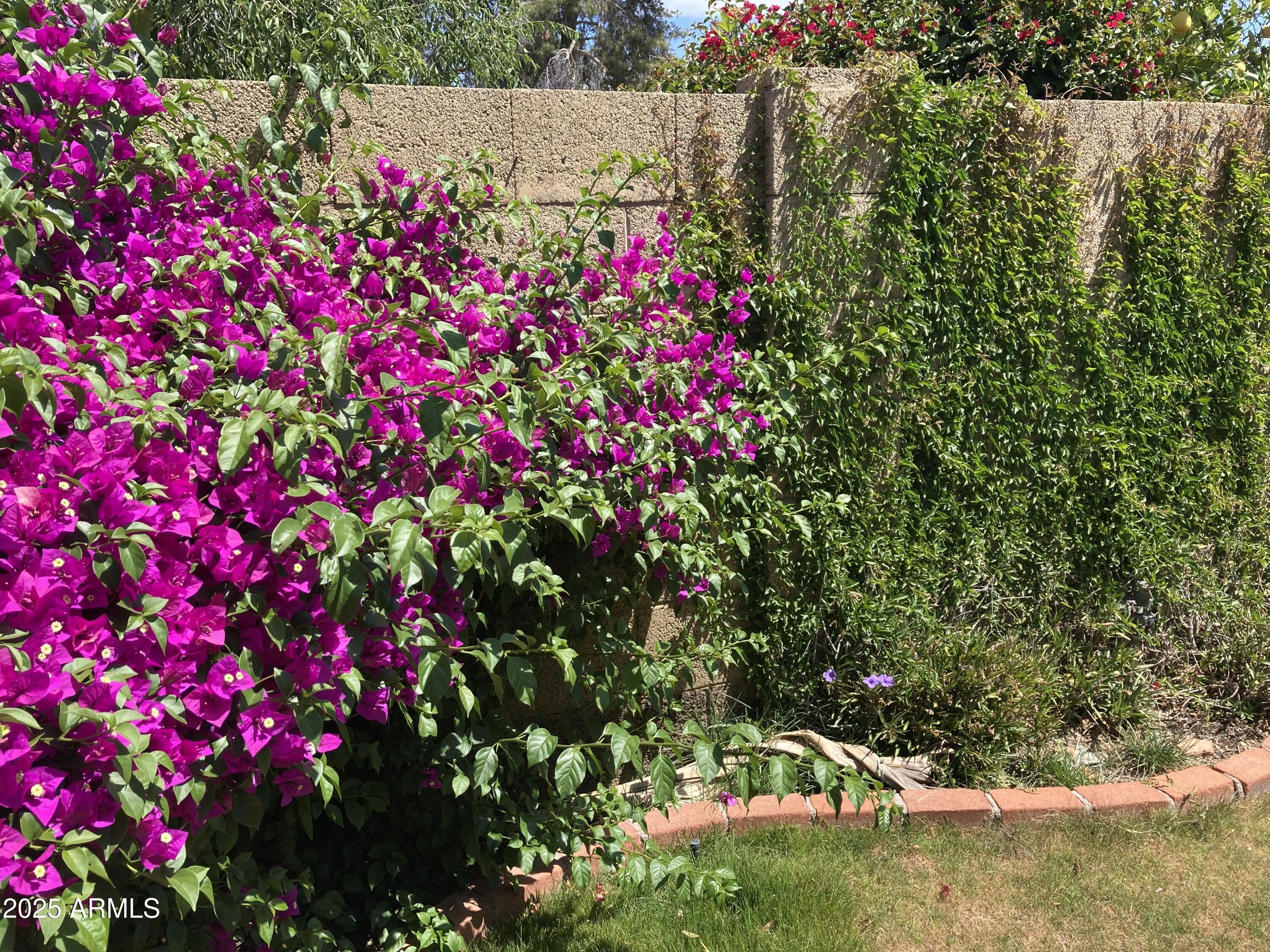 Photo #15