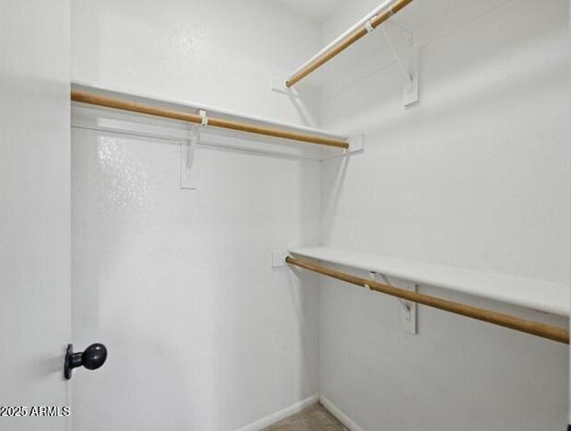 Photo #43
