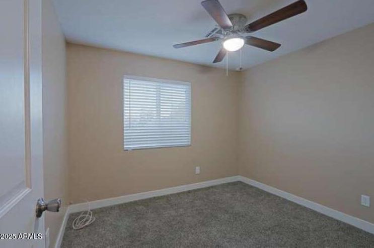 Photo #19