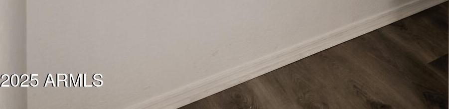 Photo #21