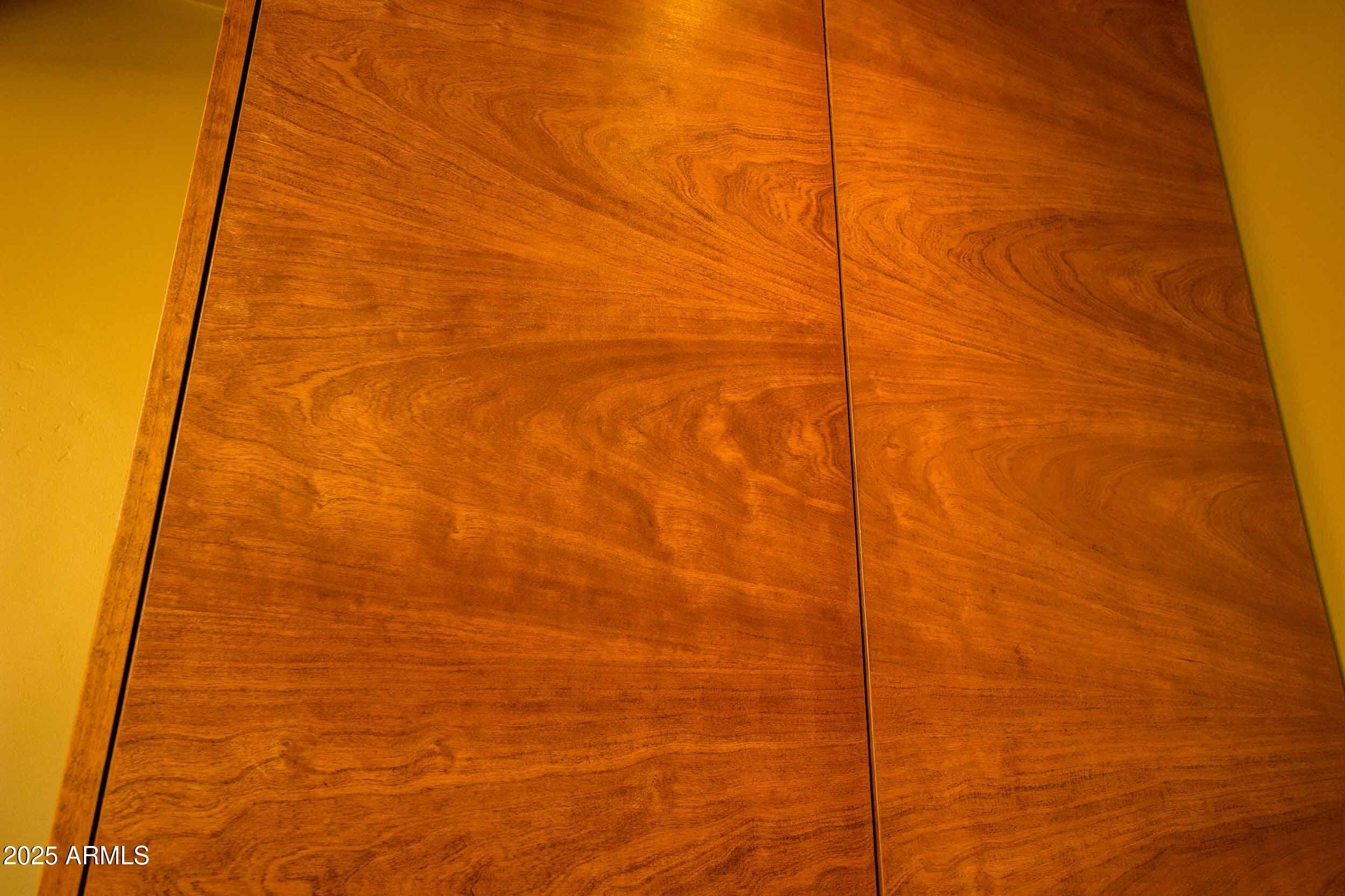 Photo #51
