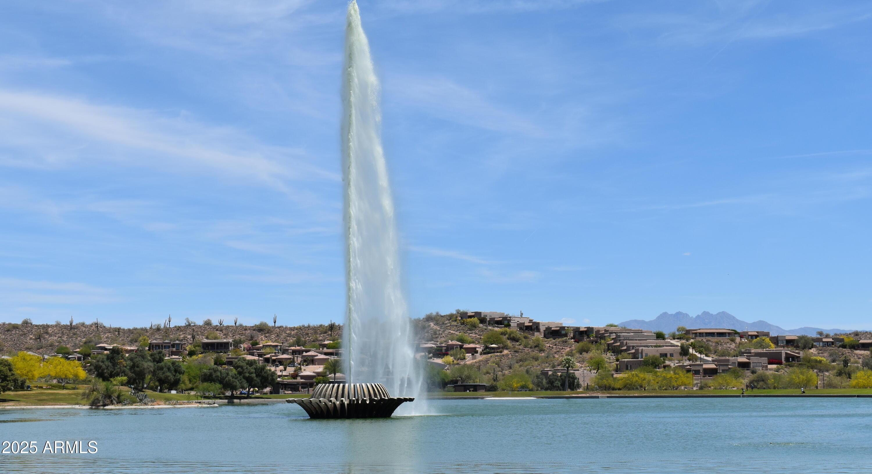 Photo #37