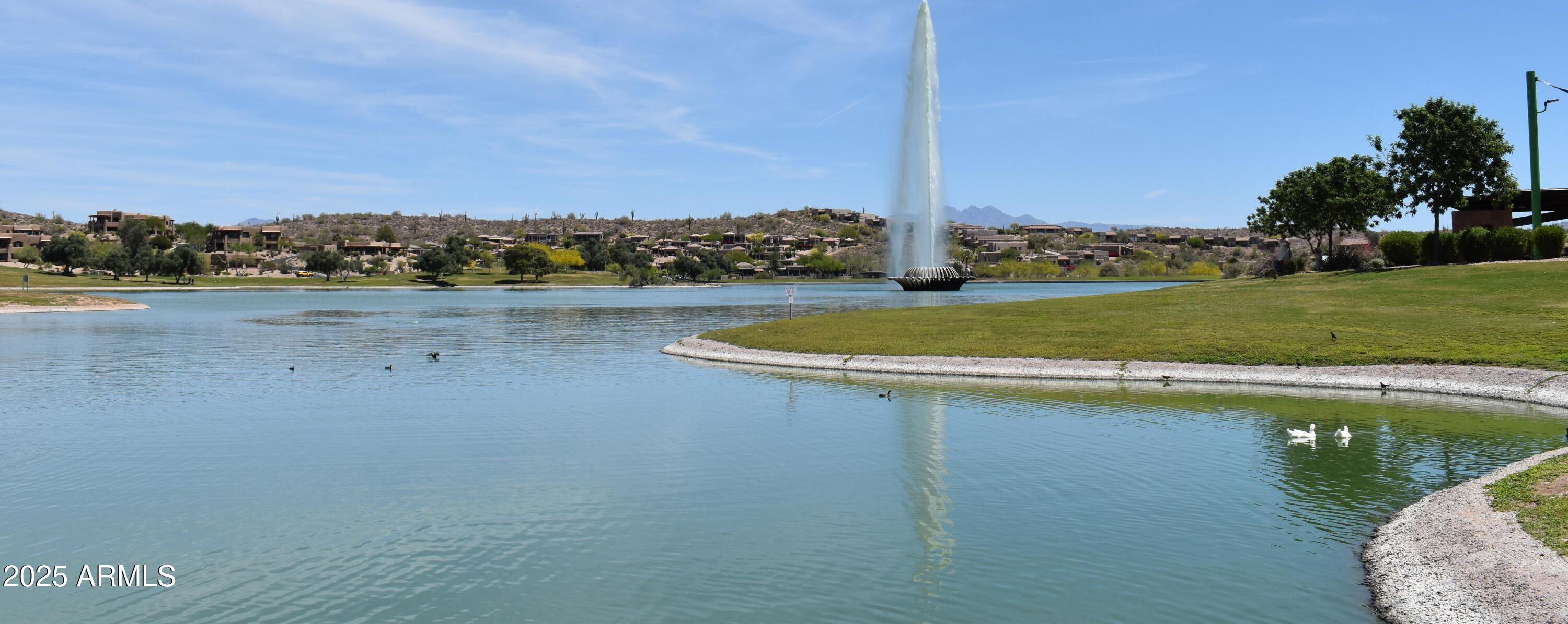 Photo #47