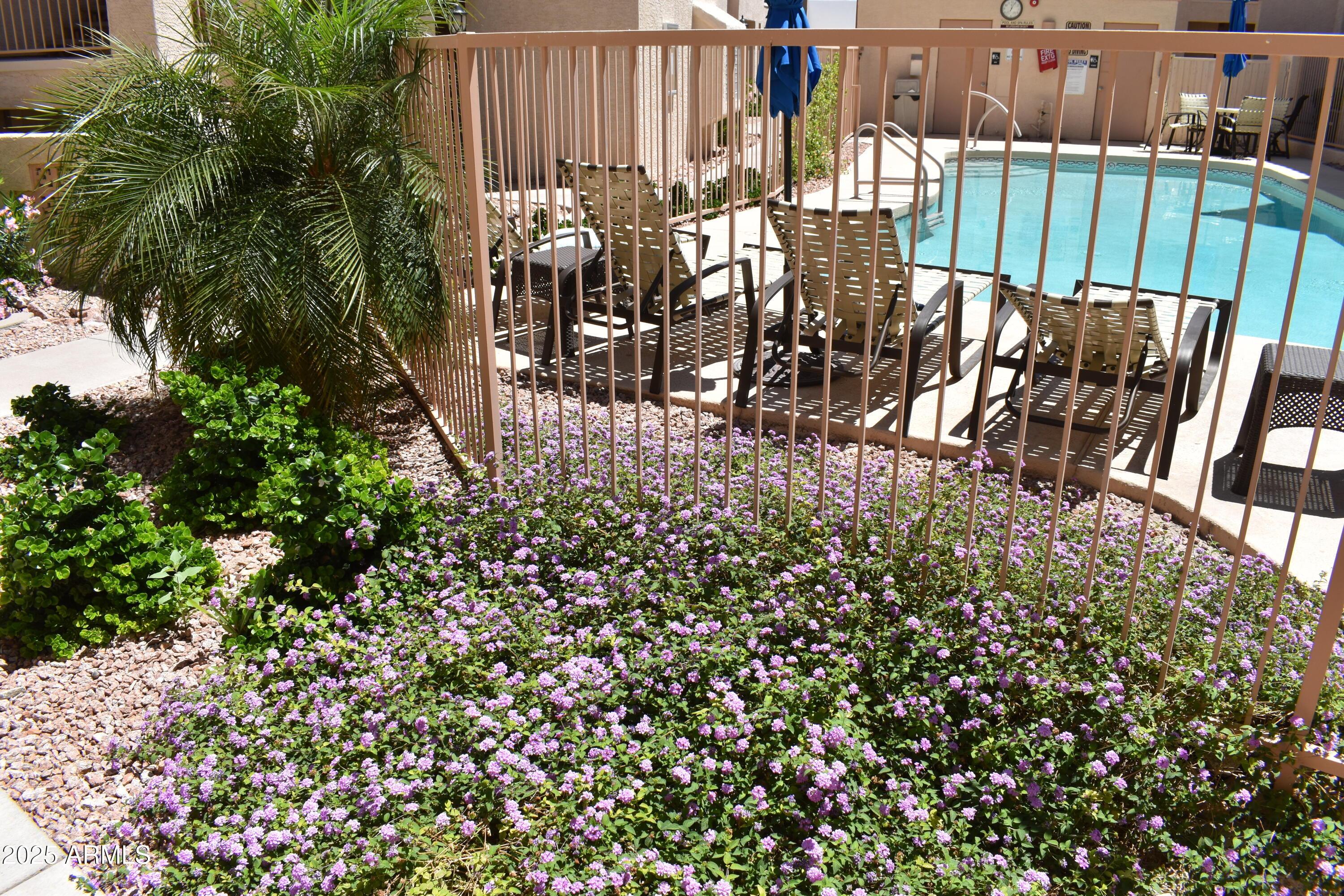 Photo #4