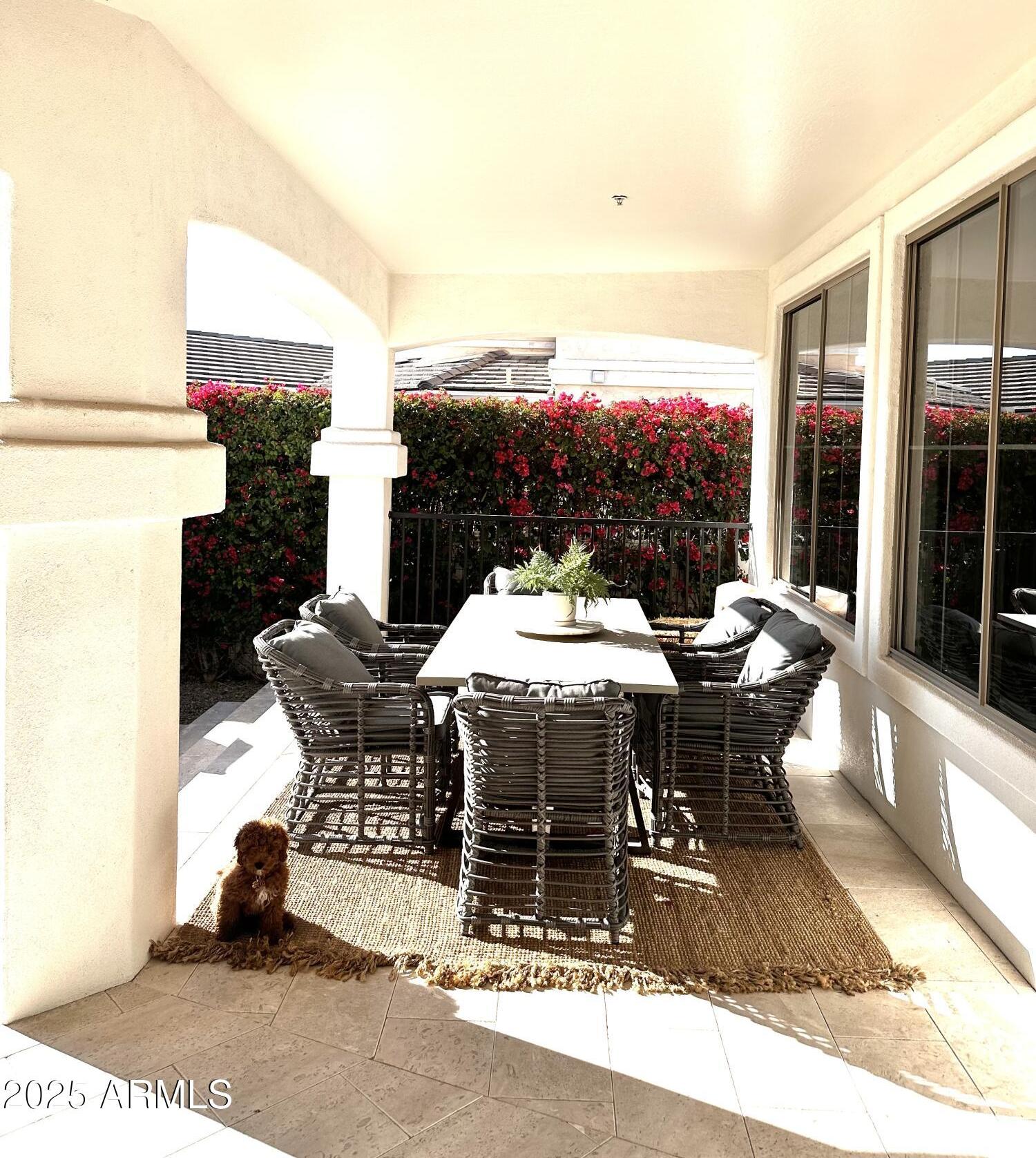Photo #13