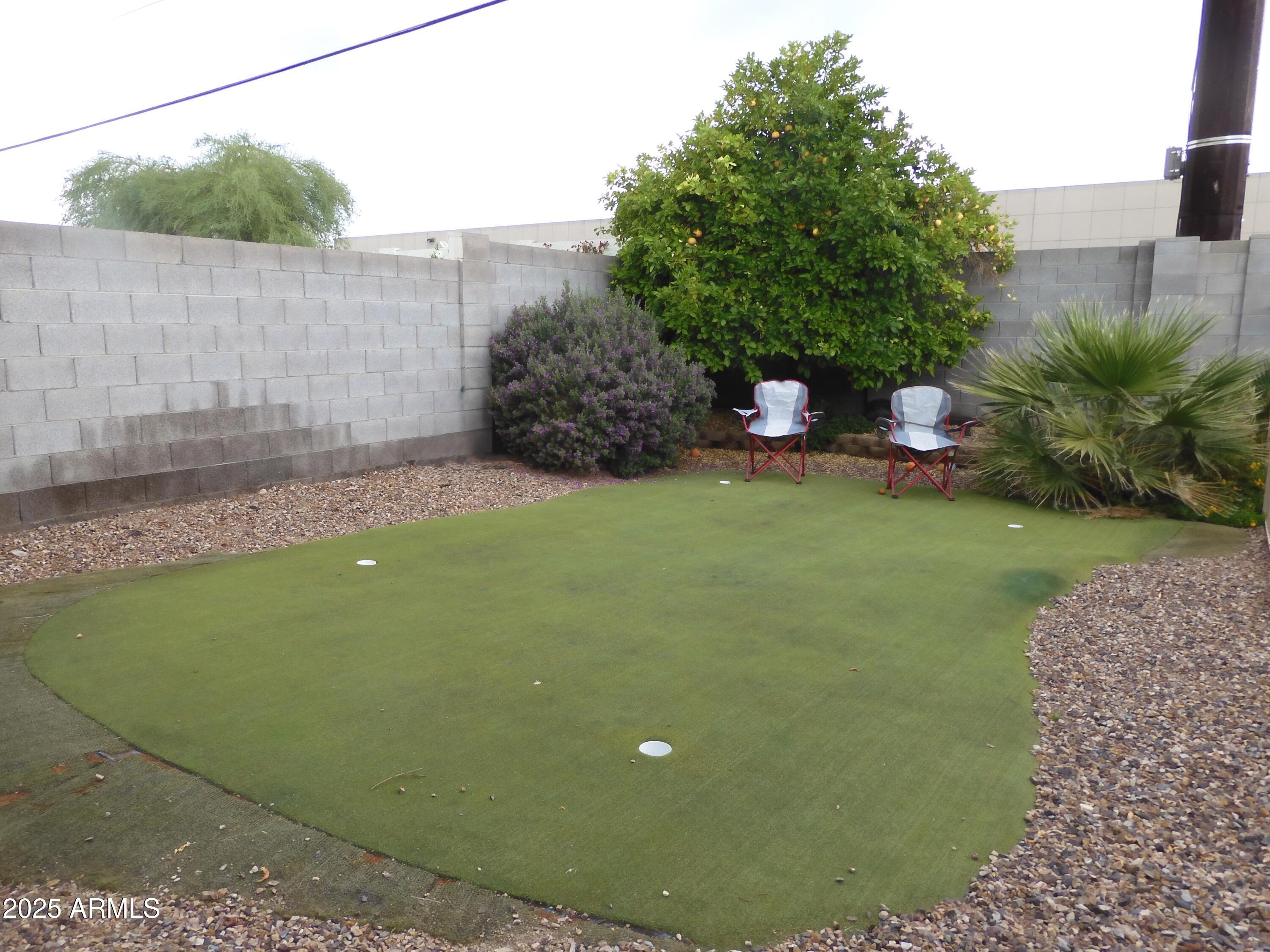 Photo #31
