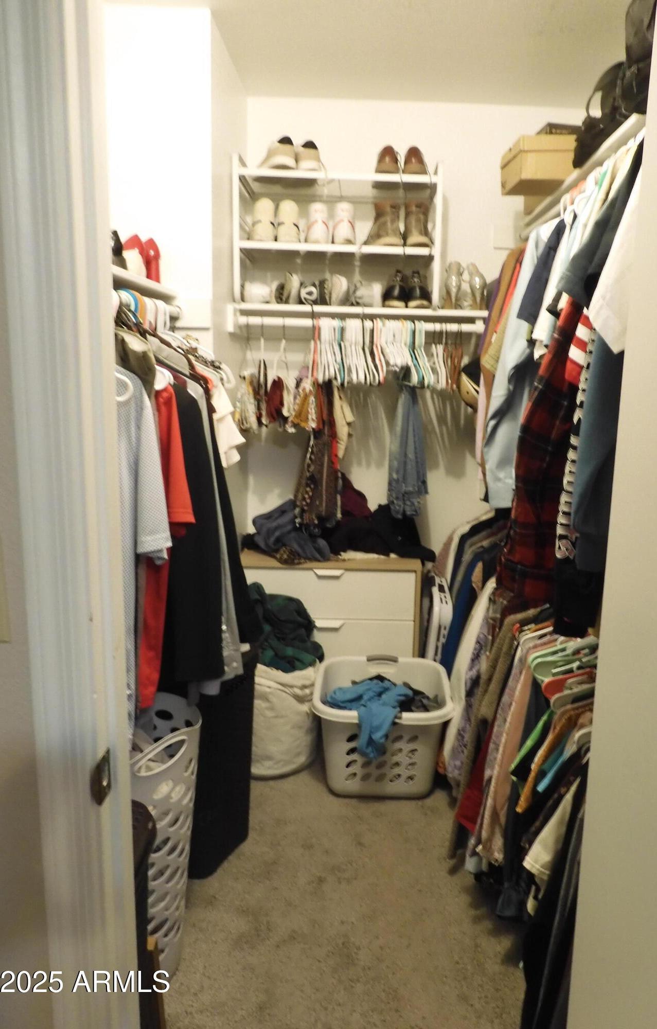 Photo #29