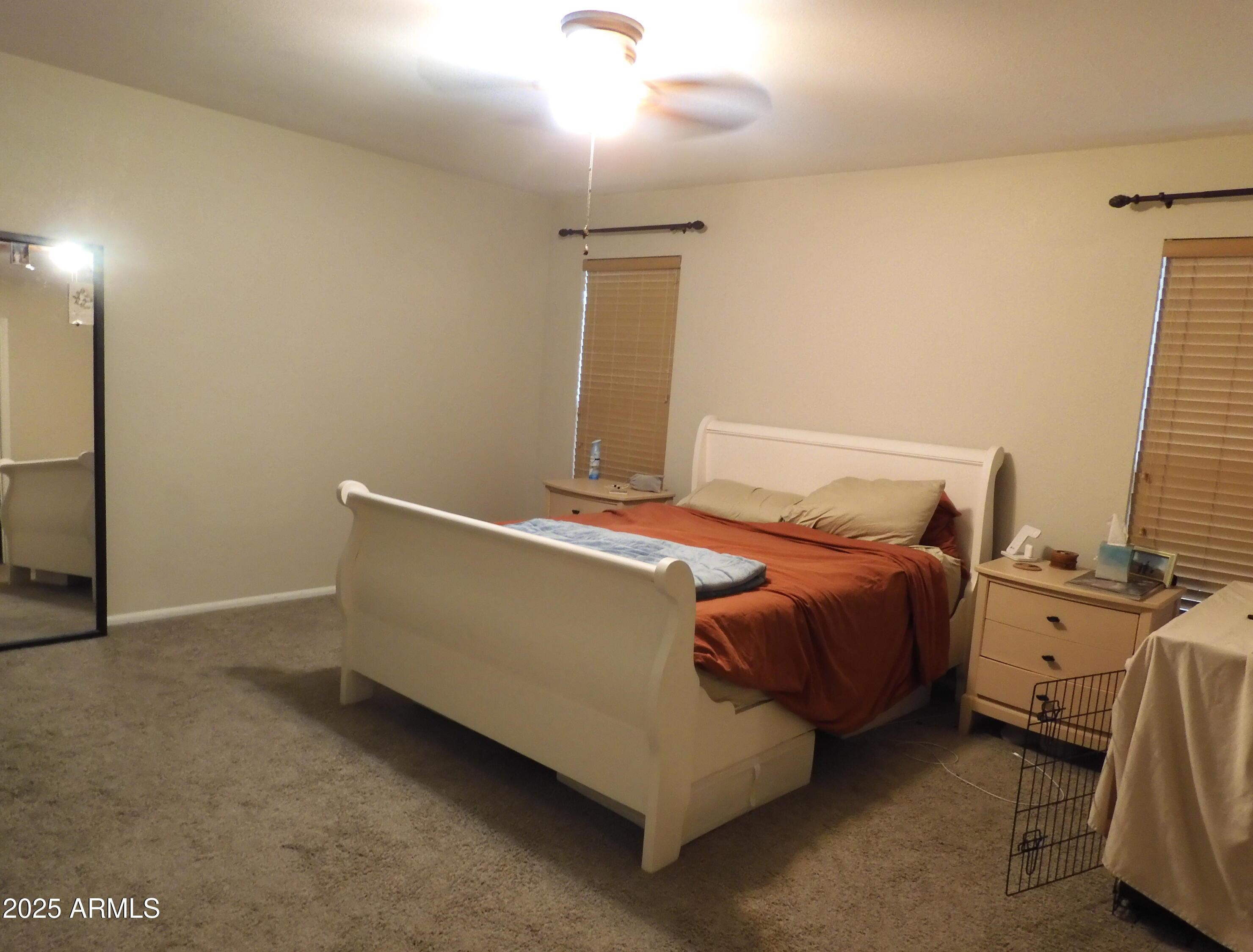 Photo #24