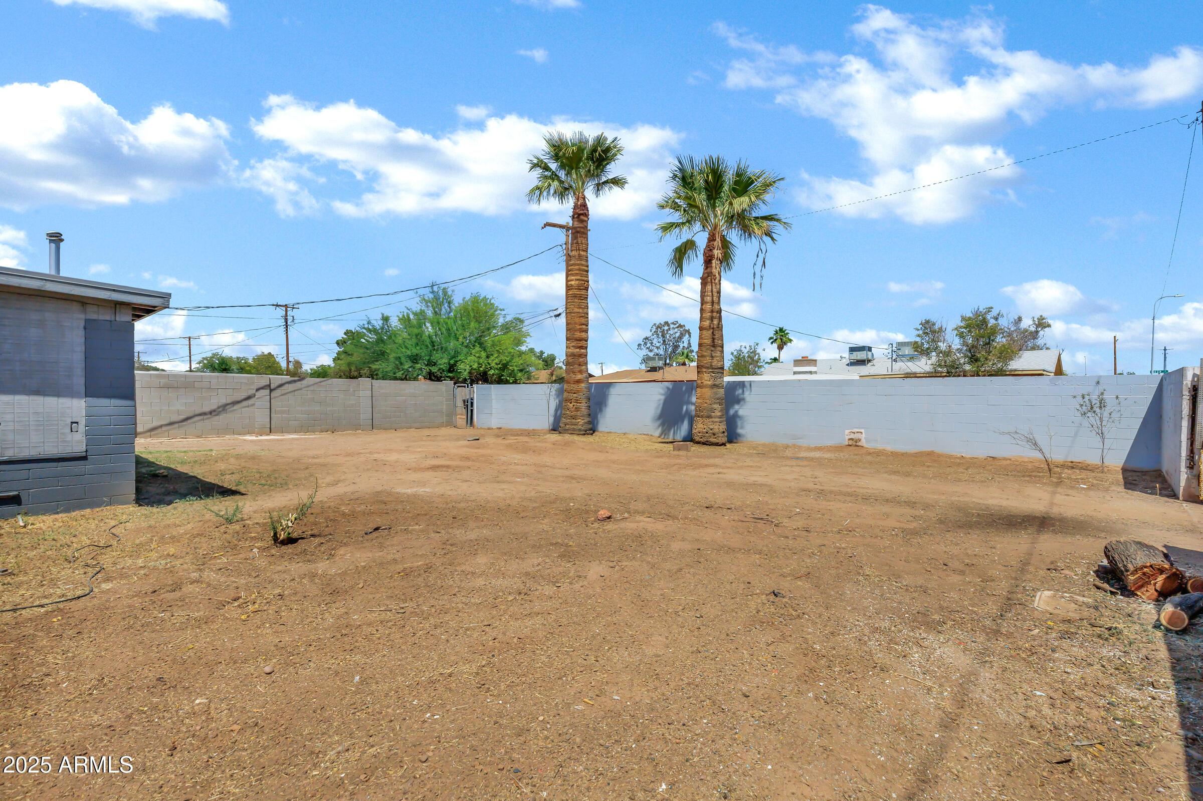 Photo #24