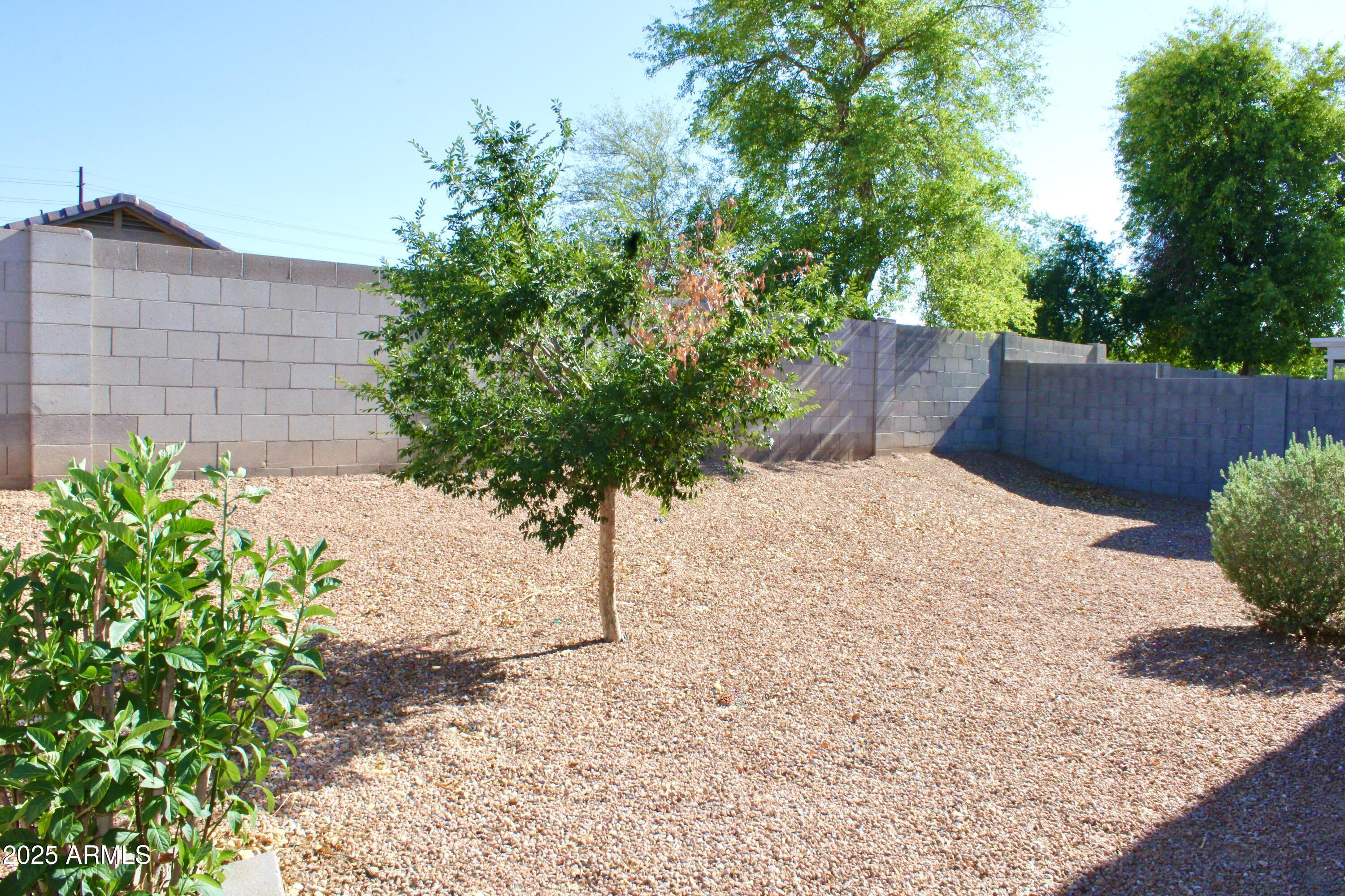 Photo #5