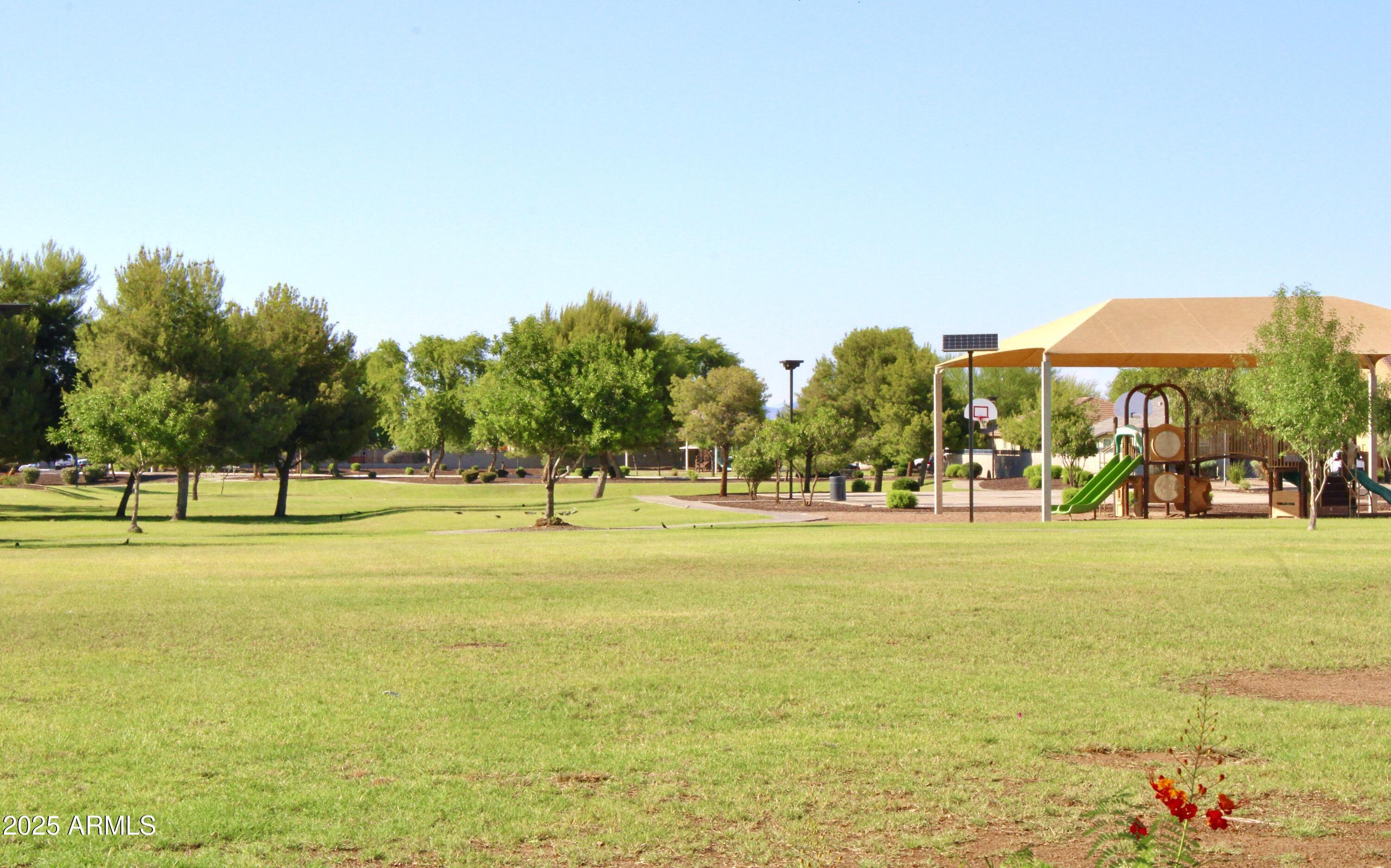 Photo #19
